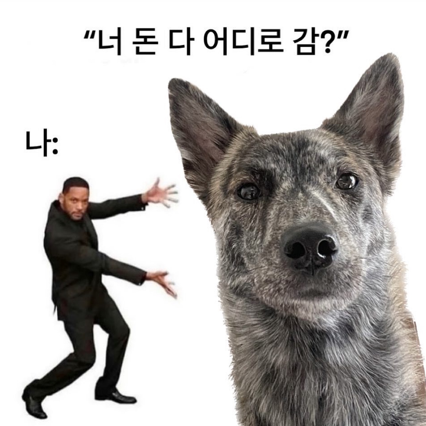 응애 

신나게 놀다가 발바닥 다 까진 강아지, 놀땐 몰랐는데 집오니까 아프데.
