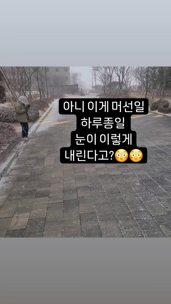콘텐츠
