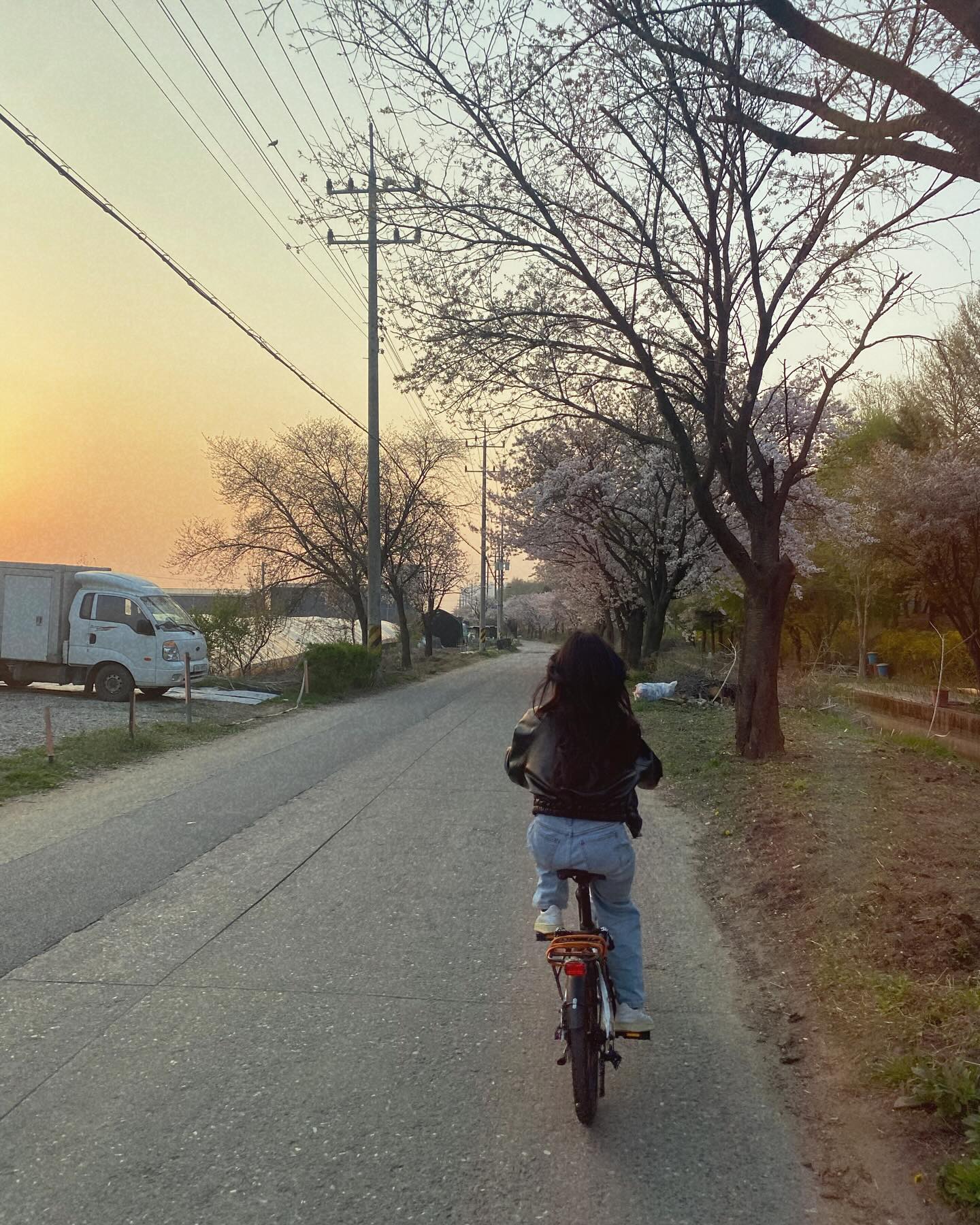 필름카메라가 없어서 필터 씌움 괜찮은데?
호수공원이 제일 예뻐 멀리 갈 필요가 읍네