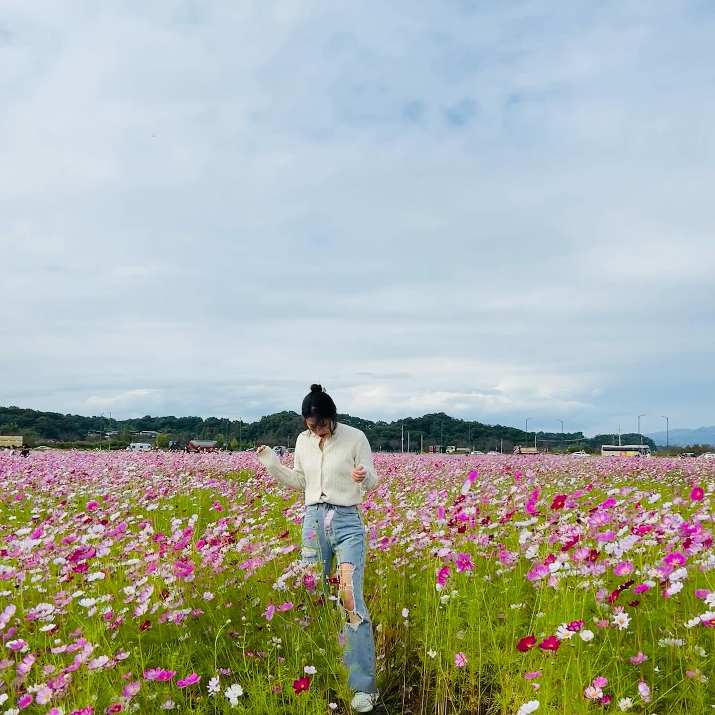 꽃 구경 신나게 하고 왔읍니다 🌸🌸