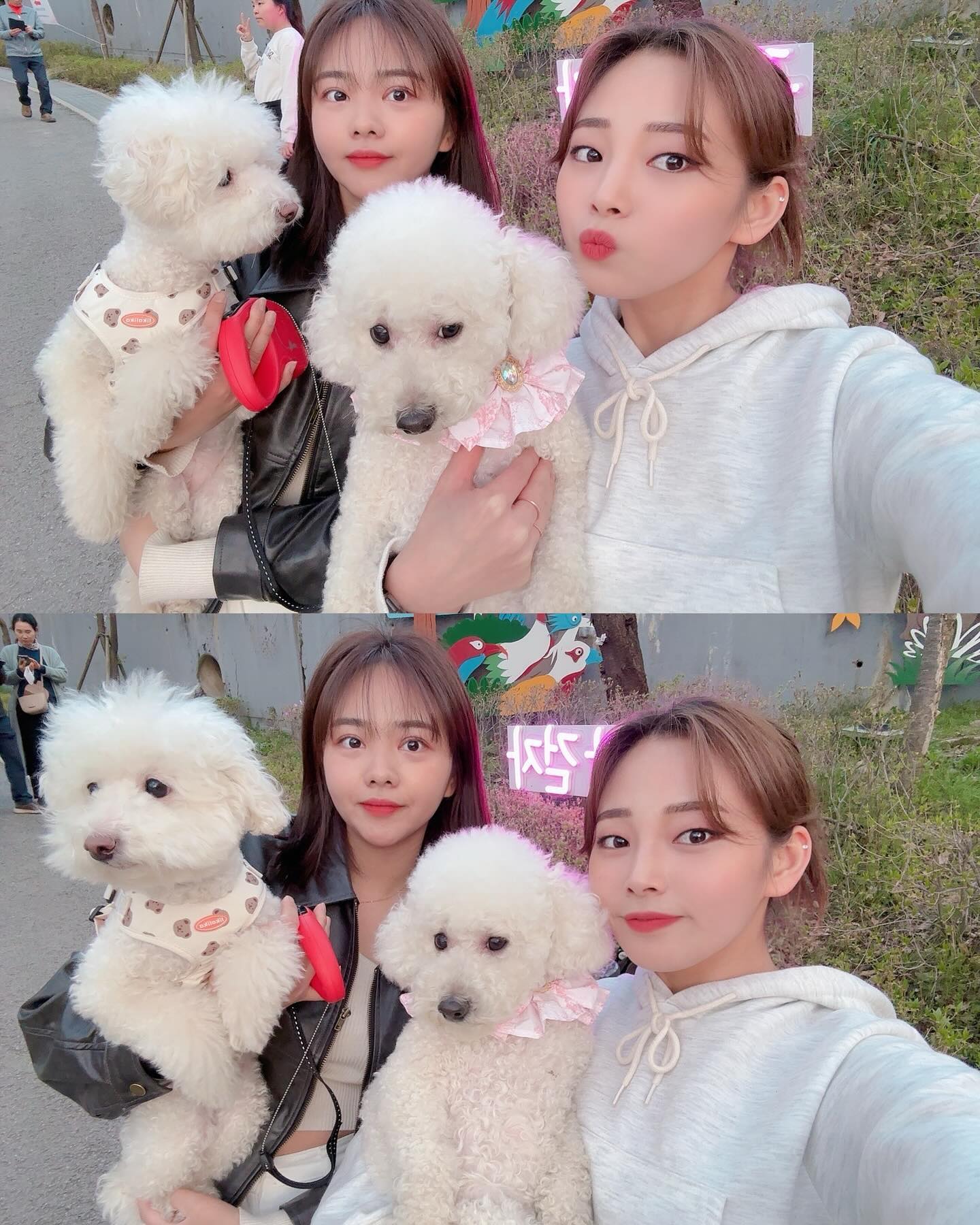 산에 가는데 흰 바지 입고 와서 욕하는 욕쟁이 깅밍주랑 
우당탕탕 바닥이랑 박치기해서 피 본 김자몽 ㅋㅋ
.
.
#일상 _min._.du