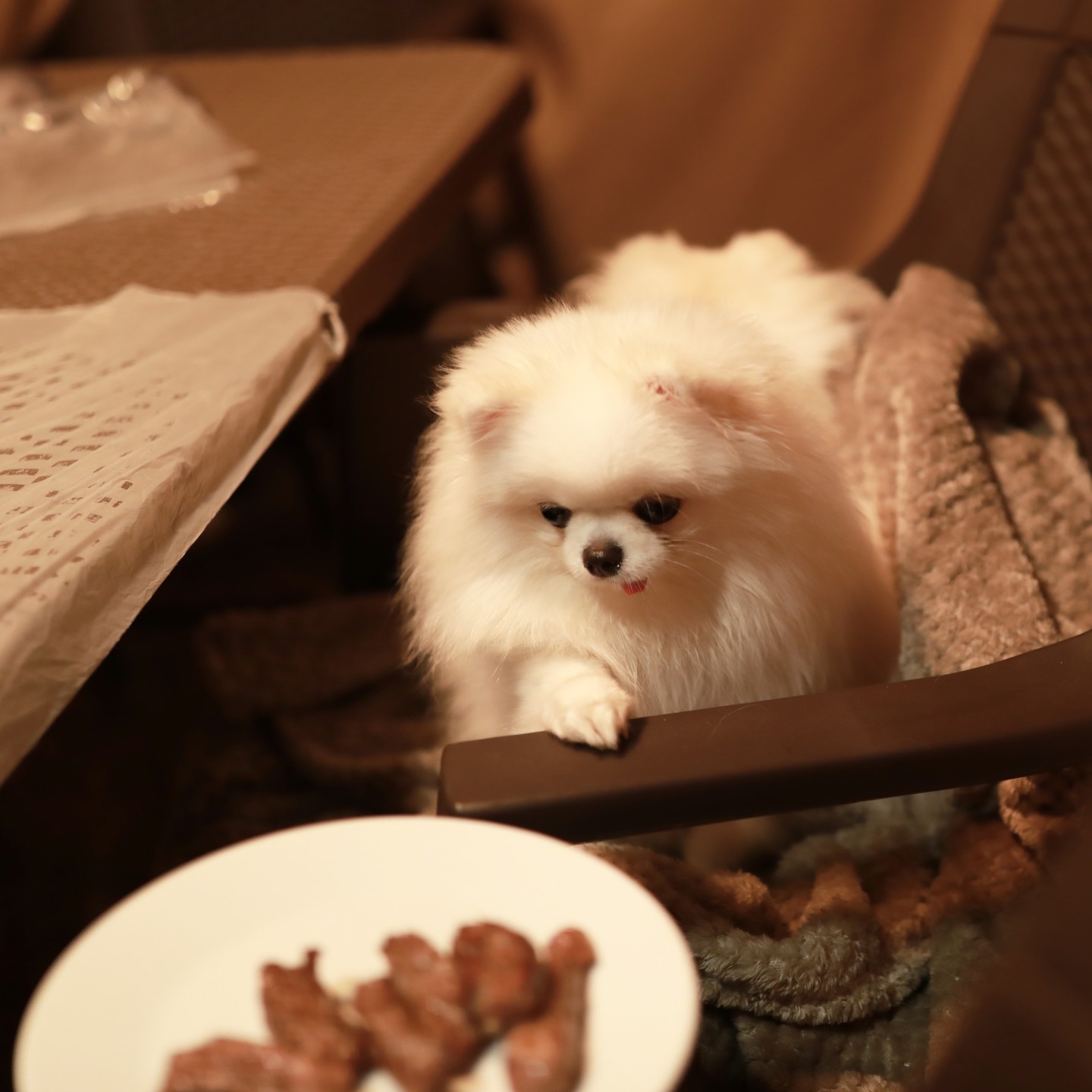 소고기를 대하는 #제니 의 자세 ㅋㅋㅋ
.
.
아 너무 간절해!
빨리 달라고요!!

빼꼼 이렇게 귀여워도 되는 거야?^^

#소고기를대하는자세
