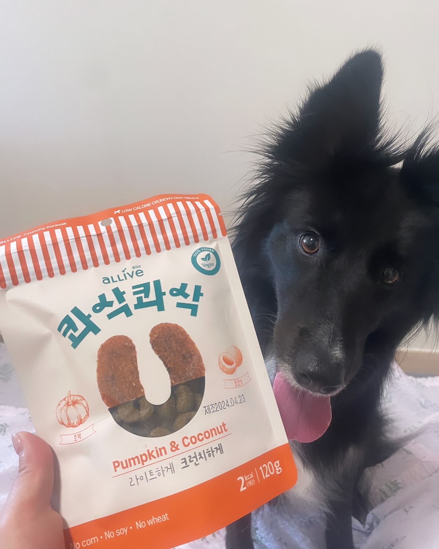달콤이가 넘 넘 좋아하는 대주펫푸드 콰삭콰삭♥️

이번에 케이펫페어에서 서포터즈로 참여하면서 

달콤이가 입학 선물로 🎁 받은 키트!! 

사료도 과자도 츄르도 다 맛있어서 펫페어에서도 인기  넘넘 많았던 대주펫푸드♥️ 

지금 공홈에서 상반기 결산 페스타가 진행중이에요! 

최대 60% 할인 놓치지 말기이이🥳🥳🥳

daejoopetfoods_official 

#케이펫페어 #대주펫푸드 #올리브사료