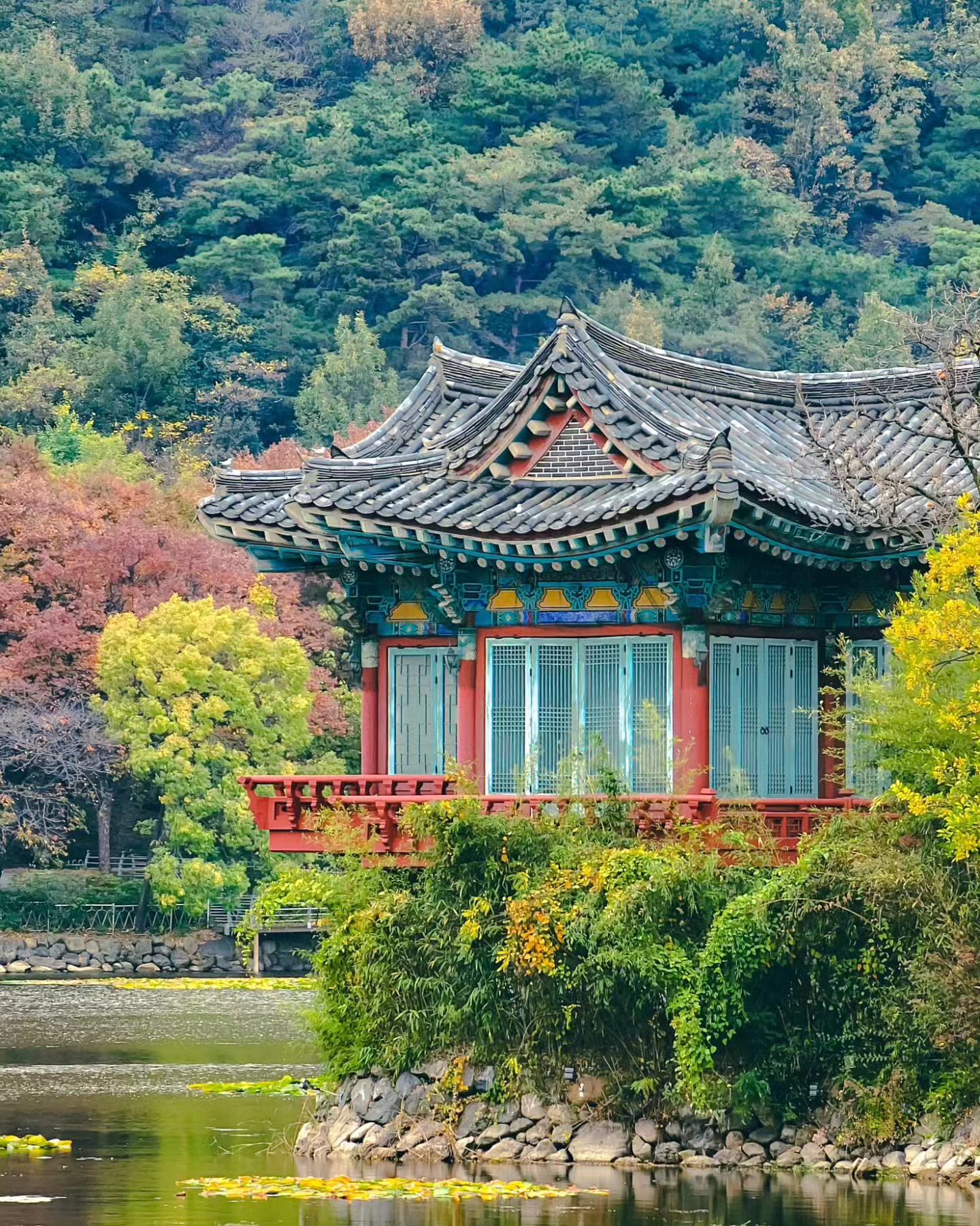 #나를사로잡는순간 

대구는 당일치기로 다녀왔더니 구경한 곳이 없다. 
그냥 밥 먹고 공연 보고 카페 가고 공연 보고 복귀. 

10월부터 너무 바빠서 가을이 온 줄도 몰랐는데
공연장 앞에 있던 #성당못 에서 단풍을 보며 
비로소 깊어가는 가을임을 실감했다. 

올해 지방 공연 어디 다녔나 보니 
4월 포항, 5월 부산, 6월 구미, 7월 안동, 
10월 대만, 10월 여수, 11월 대구까지 총 일곱 군데. 
(사실 11월 의성도 가고 싶었는데 평일이라 도저히 불가능 🥲) 

지방 공연 돌다 보면 객석의 분위기가 서울과는 사뭇 달라서 
같은 장면도 새롭게 느껴질 때가 많기도 하고 
낯선 곳에서 만나는 익숙한 장면에서 위로를 얻기도 한다. 
방방곡곡 여행하는 재미는 덤. 

이렇게 올해 지방 투어는 끝! 

📍 #대구문화예술회관 
📍 #성당못 
📍 #대쿠이 
📍 #이월드