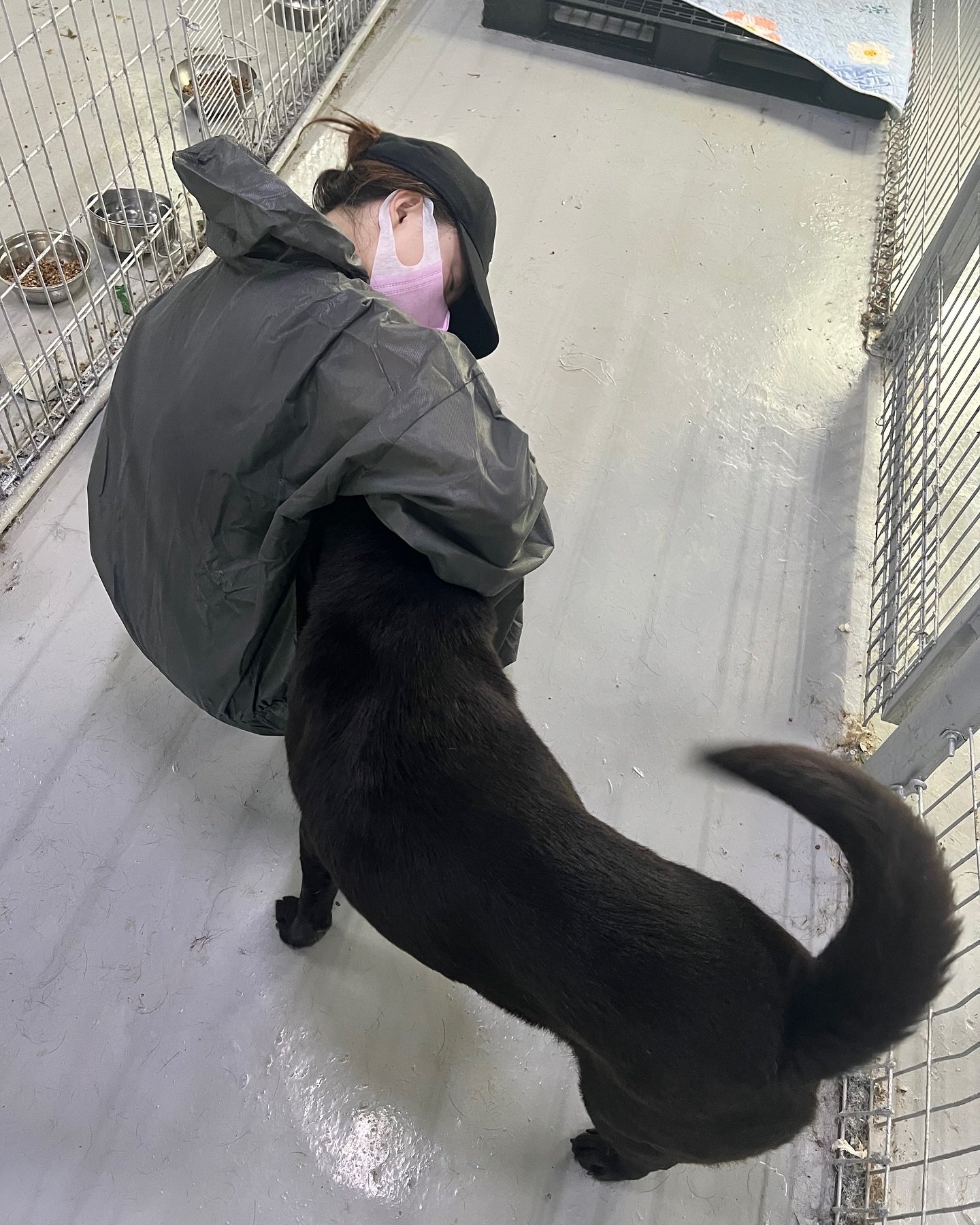 모두모두 입양합시당🌸🐈🐕🐾

🐶유기동물 봉사활동에 처음으로 가봤습니다🐾

너무 귀여운 댕냥이들 보고 왔는데, 살면서 땀 뻘뻘 흘리고 기분 좋았던 적이 있었을까나,,,
즐겁고 귀엽고 슬프고 안쓰러웠다.
복잡 미묘하다.