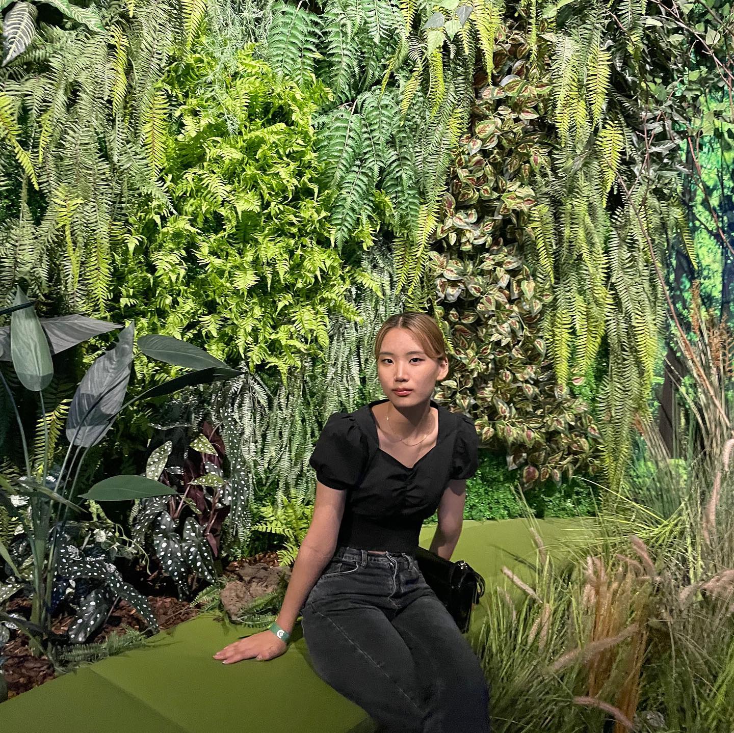 🌳