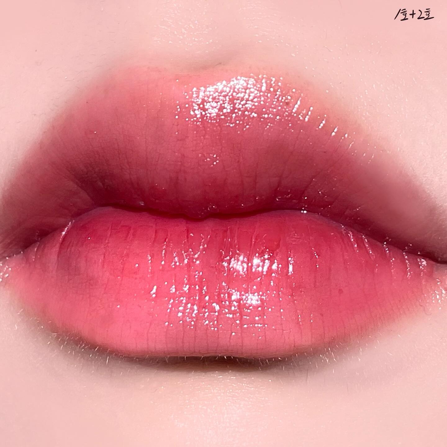 #제품제공 #BBIA 
bbia.official 

[삐아 로 틴트]
01 가데니아 로, 02 플레로 로, 03 라이락 로 
04 매그놀리아 로, 05호 피오니 로

신규 컬러 2종 출시 ⭐06 핑크 로, 07 피치 로⭐

끈적임 없이 가볍고 산뜻한 수분광 틴트.ᐟ.ᐟ
여러 번 레이어링 해도 뭉침 없이 발리고, 요플레 현상이 없어서 좋았다는..♡

여태 써본 촉촉 틴트 중에 지속력 제일 좋다고 느꼈어요! 
착색도 잘 되고, 광 유지력도 우수해서 대만족했습니다👍🏻

이거 제 맘 속 촉촉틴트 1위 될 것 같은데요?!
프로모션 진행 중이니 얼른 겟하러 가시길..♡

- 10/29(일) 단 하루! 로 틴트 올영 오특
- 16,000원 → 11,900원 (25%OFF)
- 로 틴트 구매 시, 리본 헤어핀 선착순 증정

+1호부터 7호까지 순서대로 손목 발색했고, 
사진에선 1호 2호 섞어발랐습니다😉

 #삐아 #로틴트 #수분광틴트 #글로우틴트 #워터틴트 #틴트추천 #올영틴트 #올리브영 #올영세일