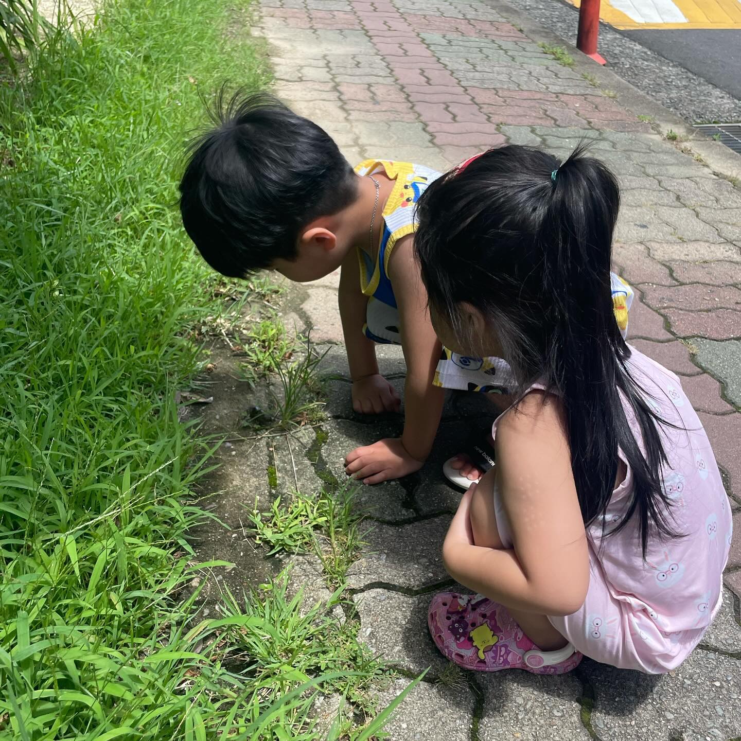 24.07.24
.

울산에서 진주 할머니댁으로 옴!!
아이스크림 사러 가다가 떨어진 매미 발견해서 
나무에 다시 옮겨주고 아이스크림 사먹고 
할아버지가 사준 고래밥 먹고 수박먹고
완전 제대로 휴가중인 꼬맹쓰들ㅋㅋㅋ
ㅋㅋ이젠 시골도 아파트여~~
.
.
.
.
.
.
#할머니집 #진주 #가족 #가족스타그램