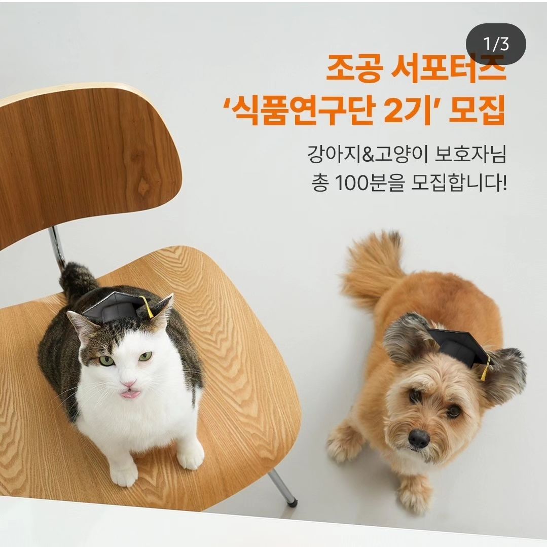 조공 식품연구단 2기 모집!!!

#chogong_official