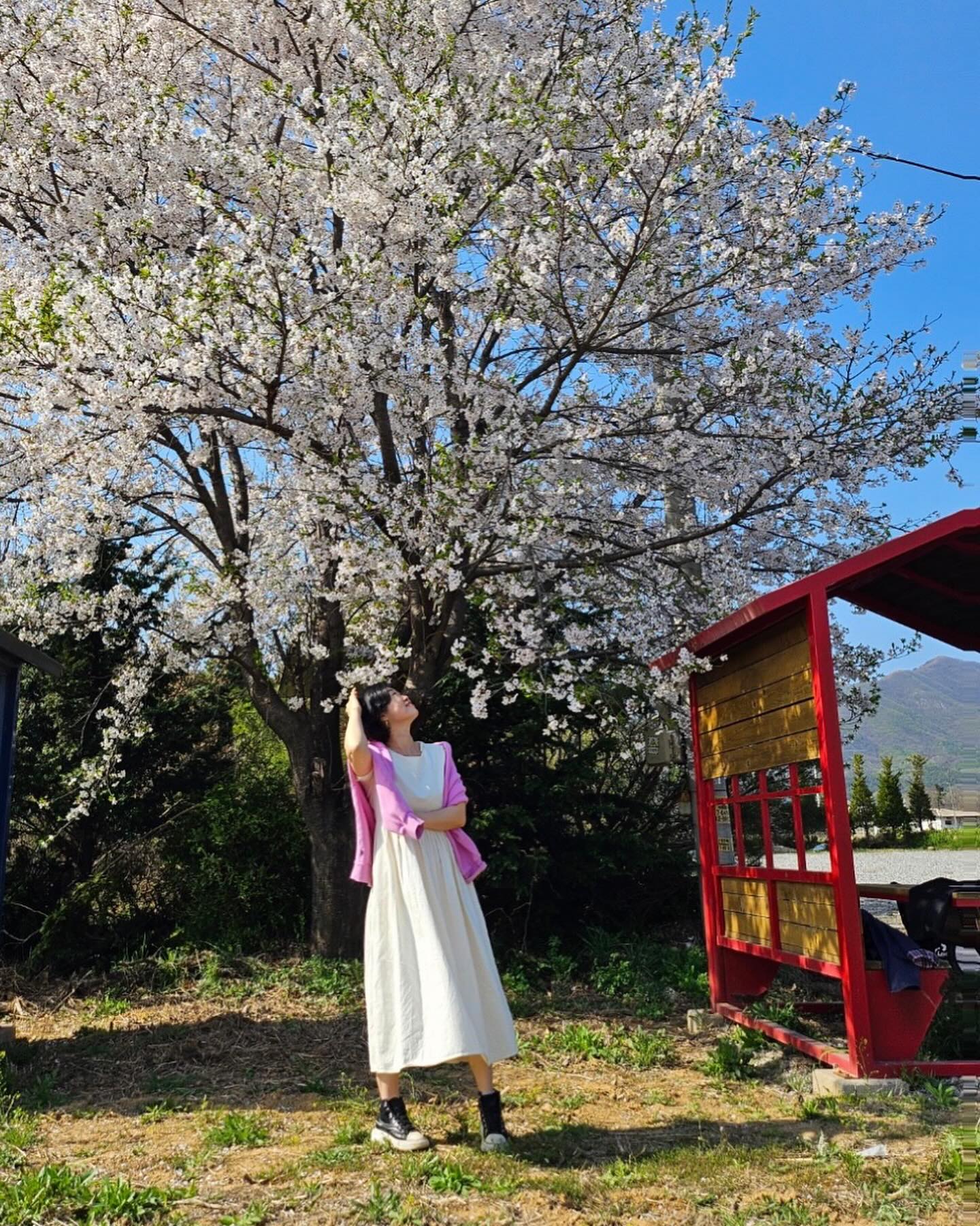 #벗꽃 아래서~ 이제 꽃 다 졌지만 그래도 사진은 남겼네 🌸
어째 #화담숲 에서 보다 더 임팩트있었던 #피크닉 장소 
담에 다시 찾아갈 수 있을래나 🙃
-
-
#나들이 #나들이그램 #꽃놀이 #봄날 #벚꽃 이게 #벛꽃놀이 지