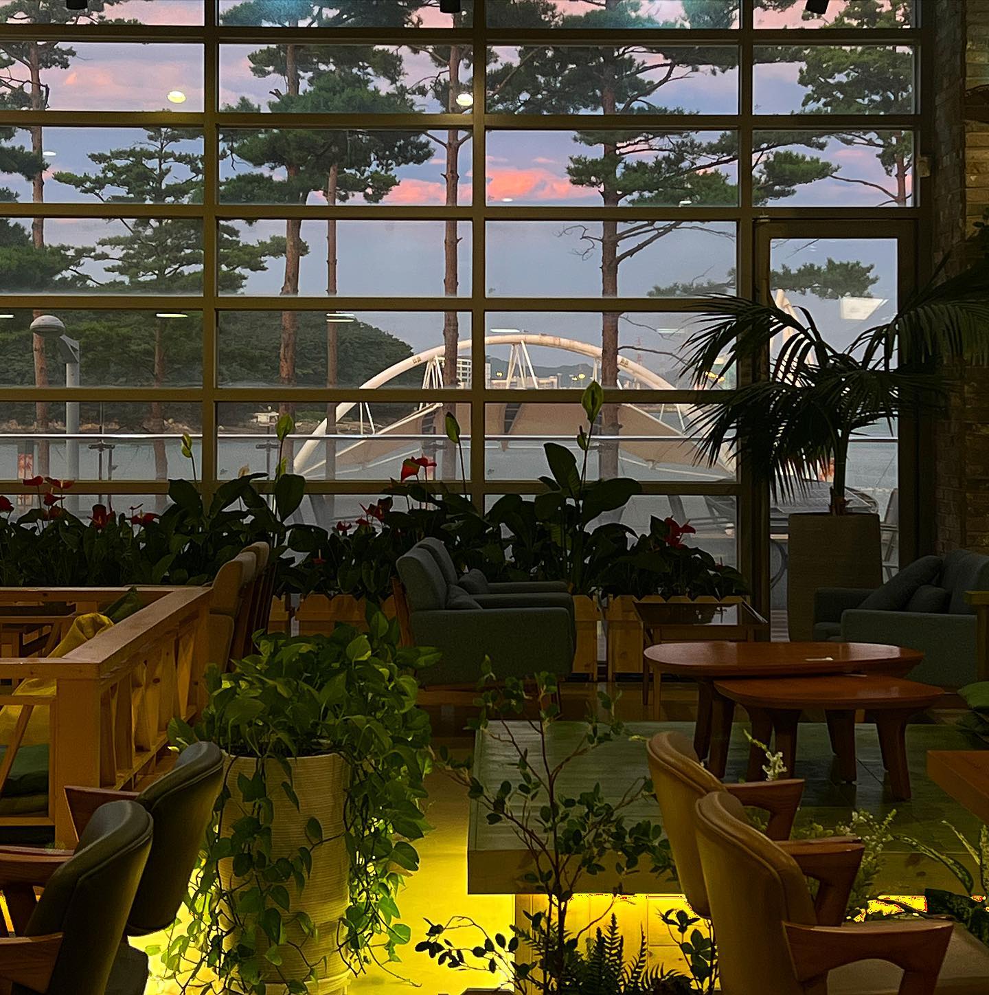 여름휴가 🏝️