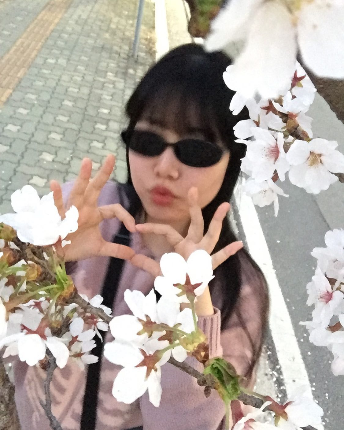 벚꽃구경
#벚꽃