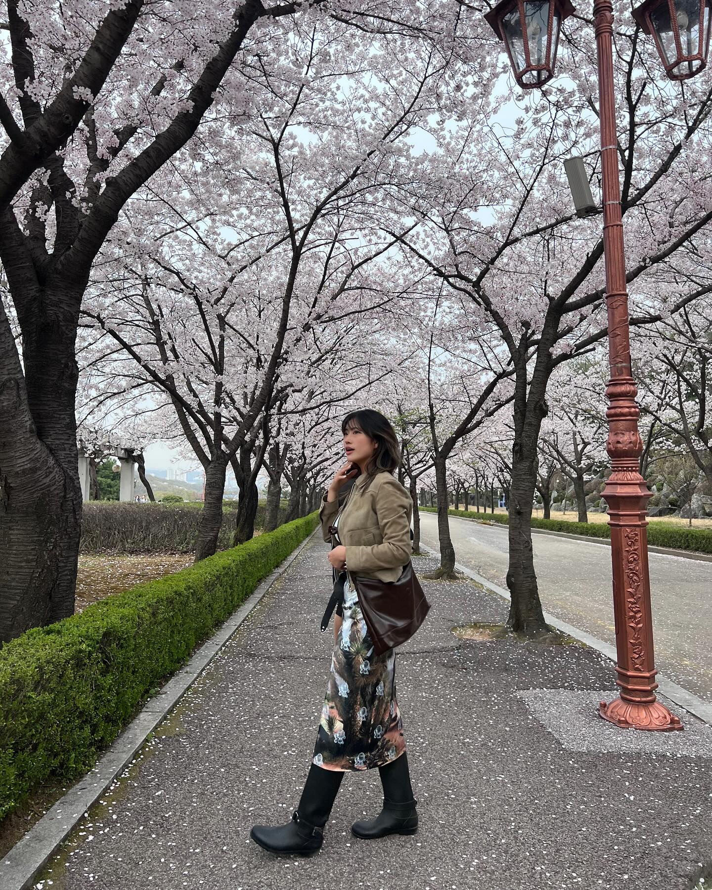 the_daughter.kr kr 
벚꽃은 경희랜드 원탑인거같아,,🌸🩷
#도우터 #DAUGHTER