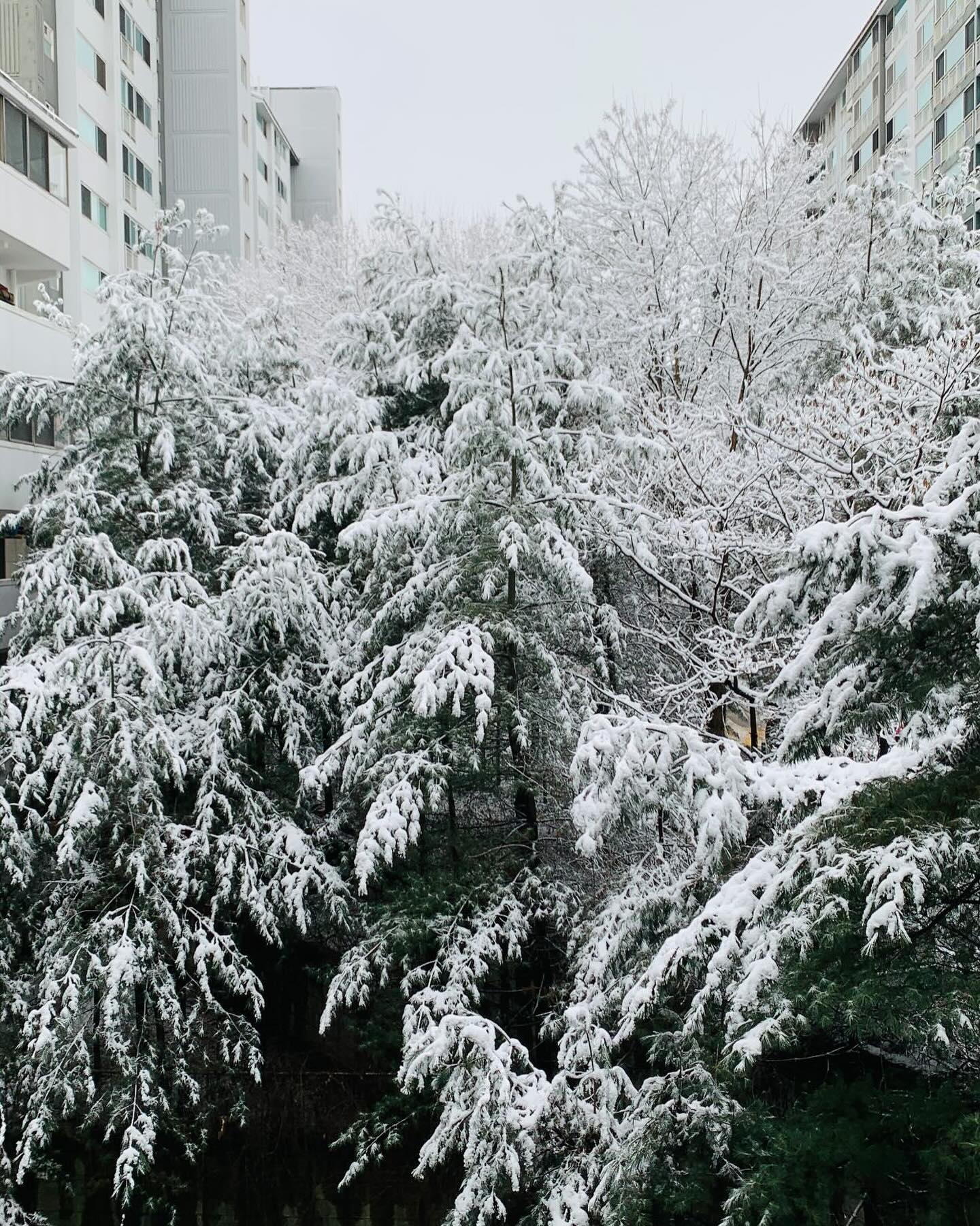 오와아 😳

.

#korea#snow