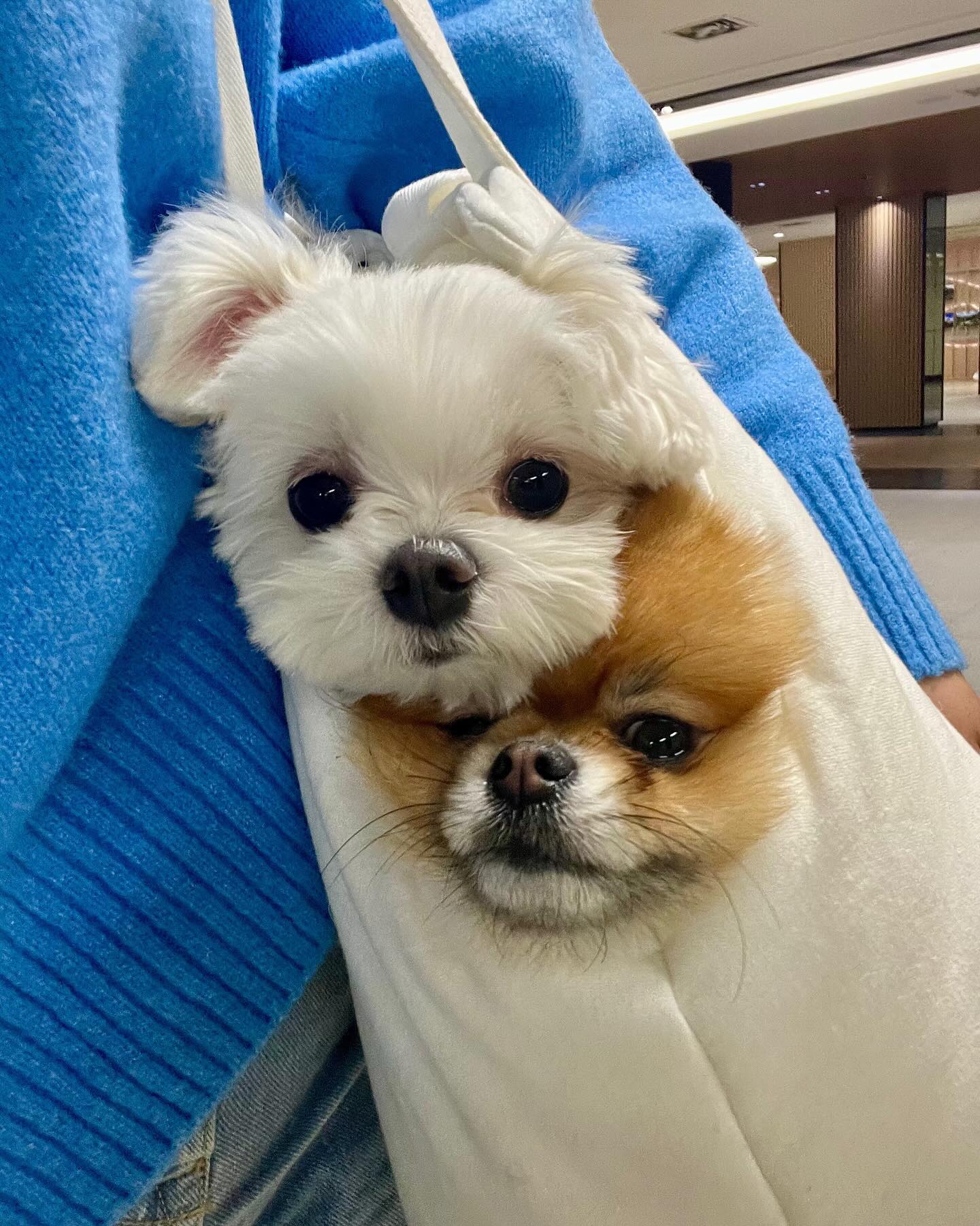 너네 사이가 이렇게 좋다구?🩵