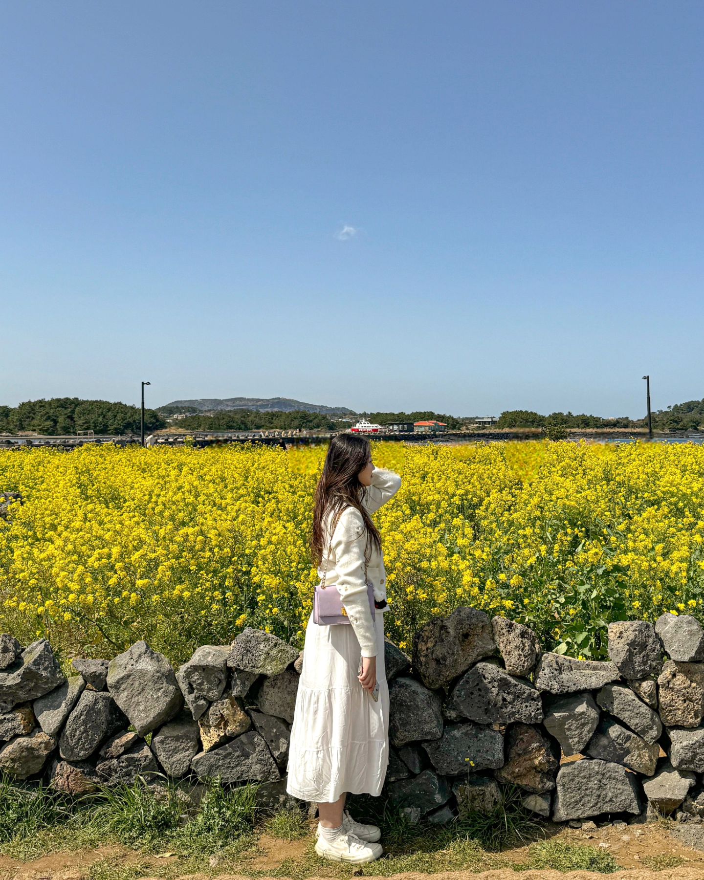 바람한테 처맞은날🌼