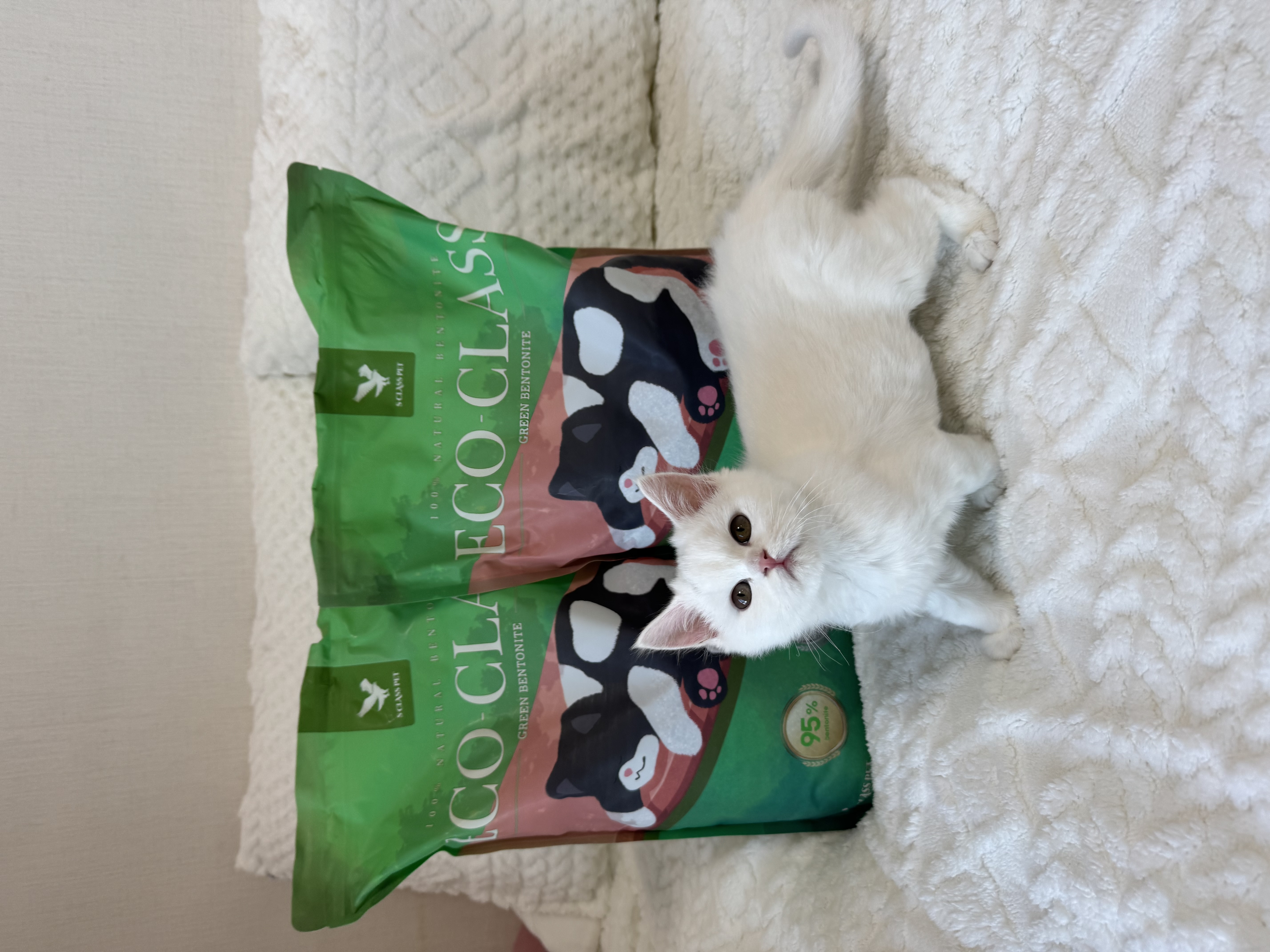 콘텐츠