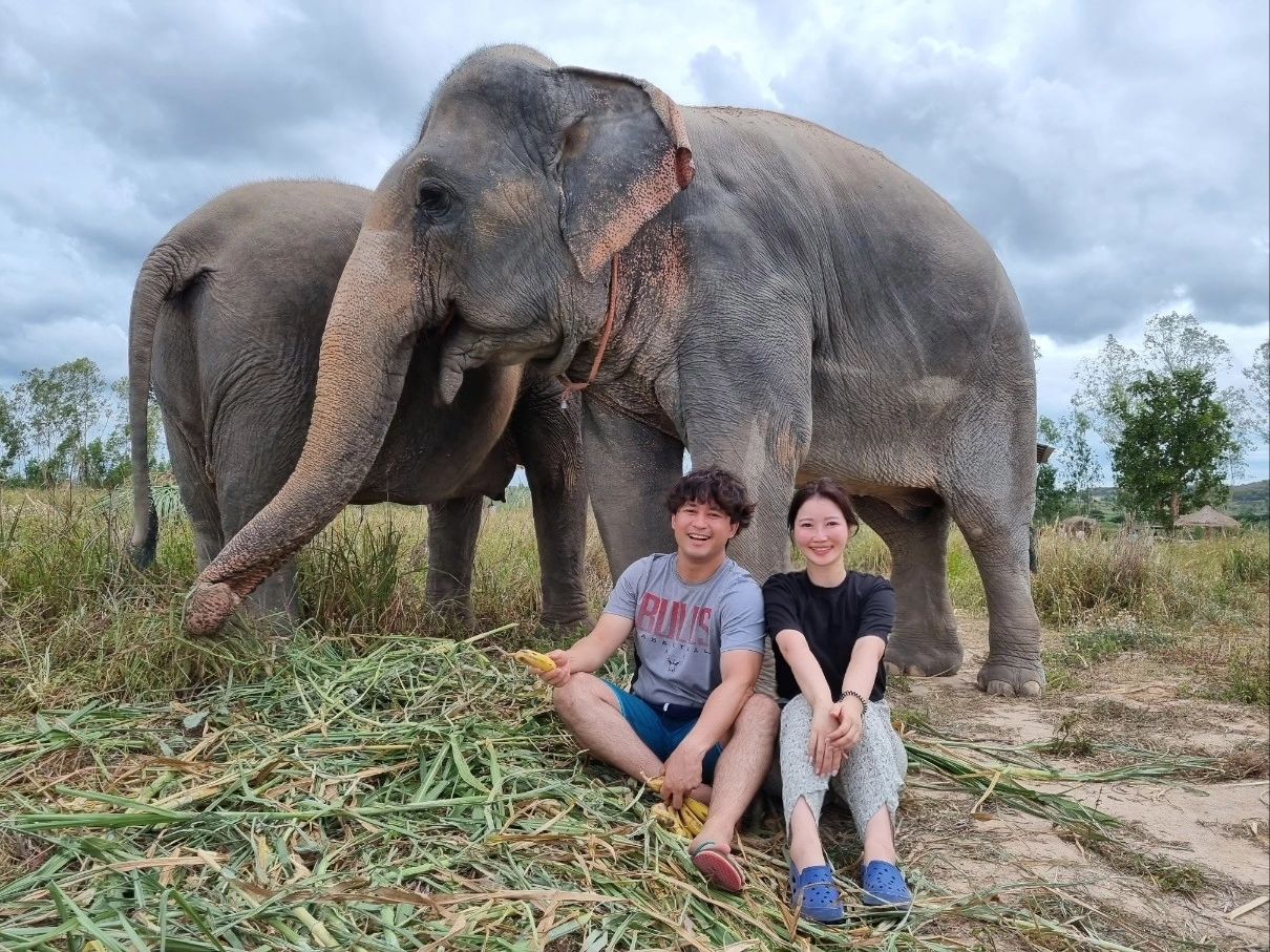 ⠀⠀⠀⠀⠀ ⠀⠀⠀
태국하면 떠오르는 동물은 당연 코끼리!!🐘🇹🇭 
평소 동물보호소에서 봉사하고 싶다는 생각은 굴뚝같았지만 
첫 봉사를 코끼리에게 하게 될 줄 누가 알았을까ㅎㅎㅎ 
⠀⠀⠀⠀⠀ ⠀⠀⠀
구조되었거나 보호가 되고 있는 아이들과 가까이서 교감도 해보고 먹이도 주고 목욕하는 것도 도와주고🛁
목욕시킬 때는 온 몸이 진흙범벅이 되었음에도 너무 즐거웠던 체험
⠀⠀⠀⠀⠀ ⠀⠀⠀
봉사 후 먹었던 태국식 음식도 꿀맛🍯
⠀⠀⠀⠀⠀ ⠀⠀⠀