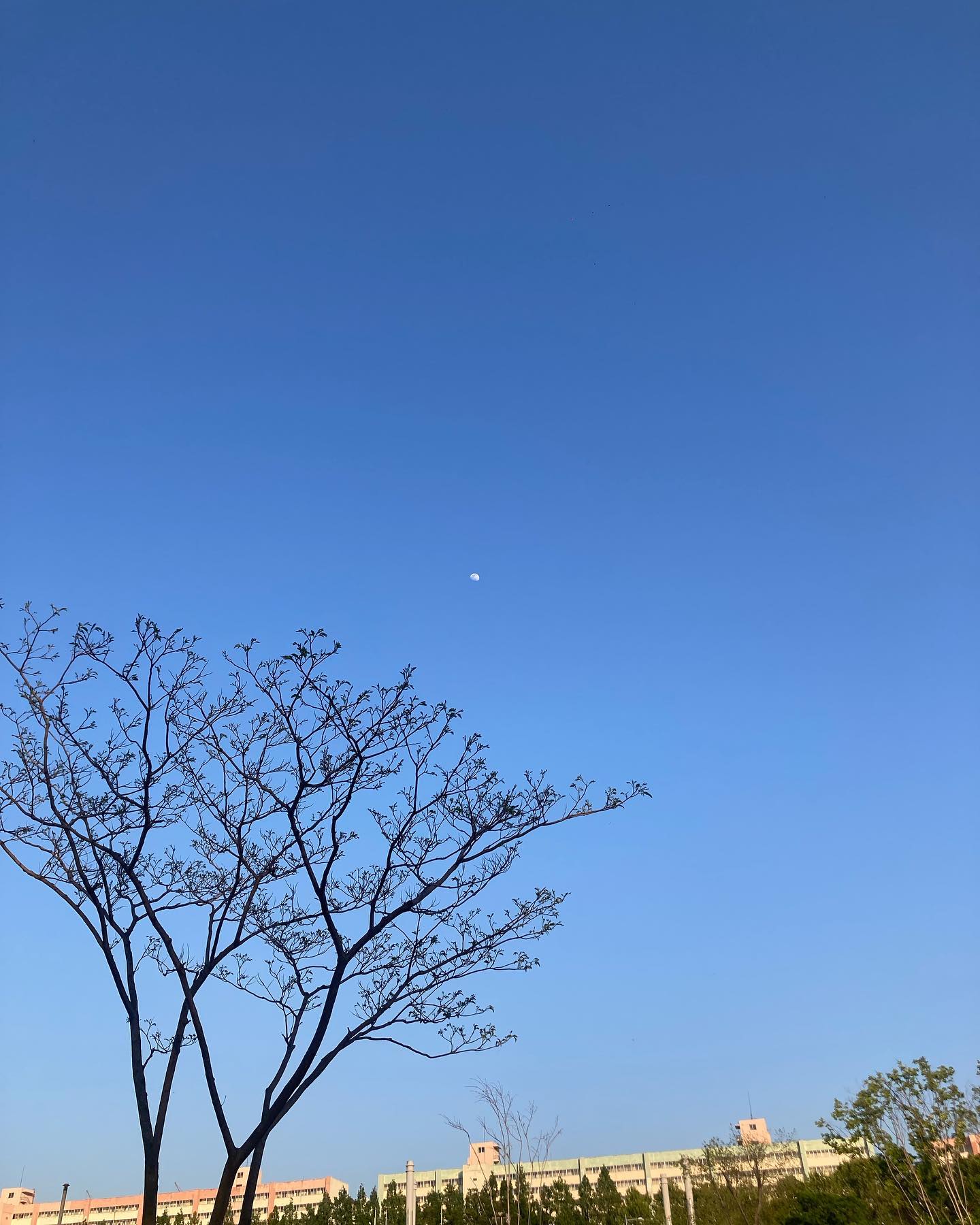정말 이렇게나 되는 일이 없다고요? 인생 최악이었던 작년보단 좀 더 나은 올해가 될 줄 알았는데, 여전하기 때문일까요. 모두 다 새롭고 싶었어.
