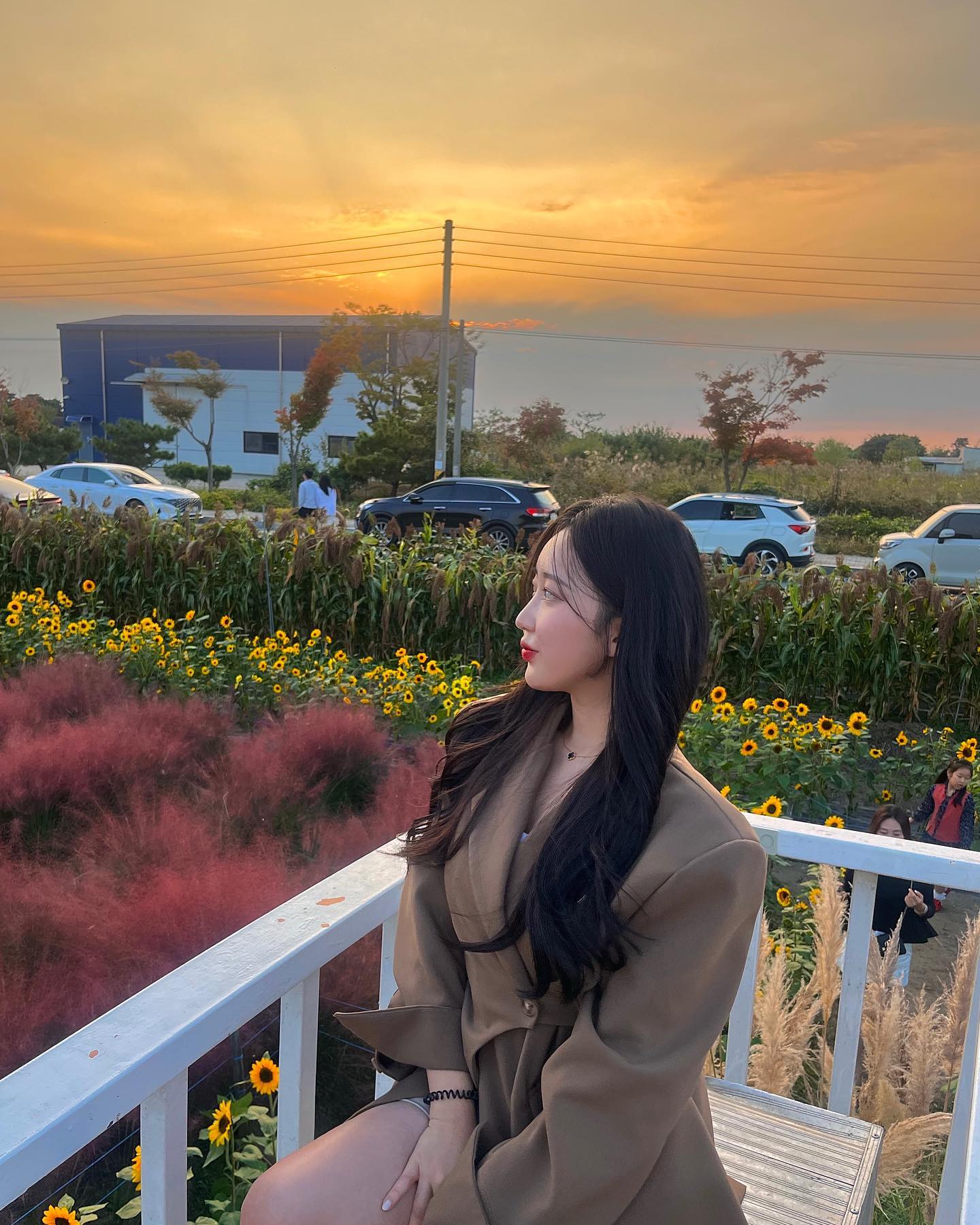 꽃구경 완 🌻