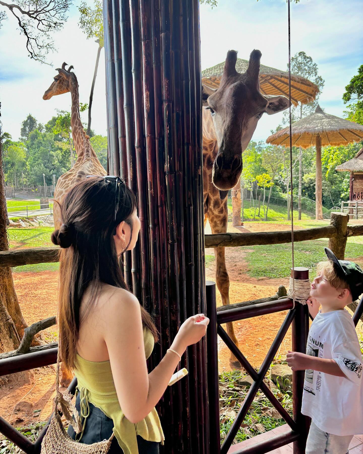 폴인럽🦒💕

기린… 당신 넘 멋져 예뻐 귀여워 볼따구 탱탱해..

📍빈펄 사파리 Vinpearl Safari Phu Quoc