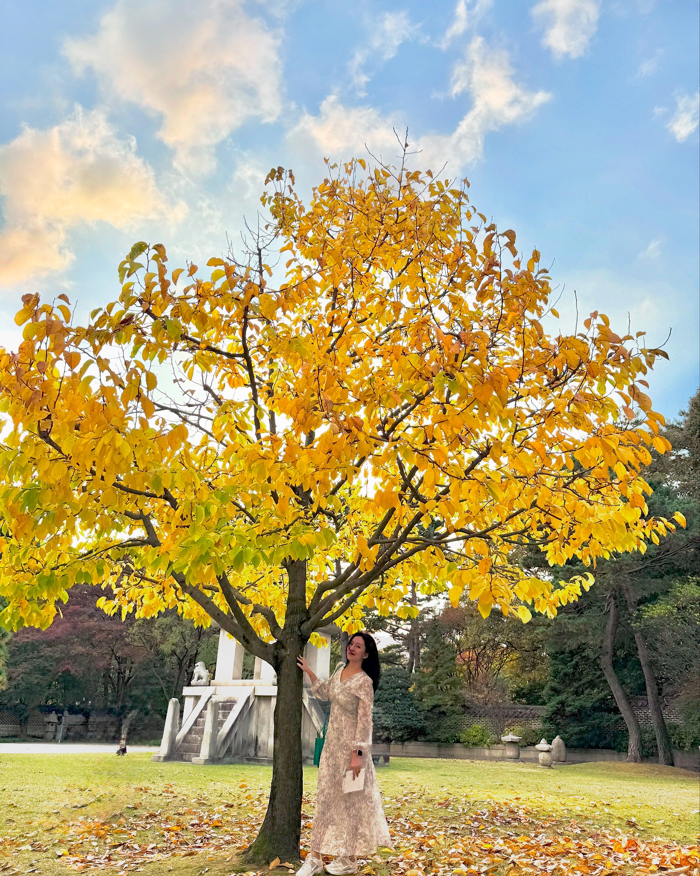가을이댜🍁🍂
아이폰  사진 사람없애는 기능 아주 맘에 드는군 👍🏼 
따뜻한날 😁 
오빠랑 가을 소풍 나들이 🙌🏼 
가을에 달달한 냄새 난다는 계수나무도 ! 있다!!
여름에만 계수나무 만나서 가을냄새 궁금했는데
완전 달달하고 향기로운 냄새나서 신기방기🫢 
잎이 완전 하트 모양이라 
귀욤귀욤! 💚
