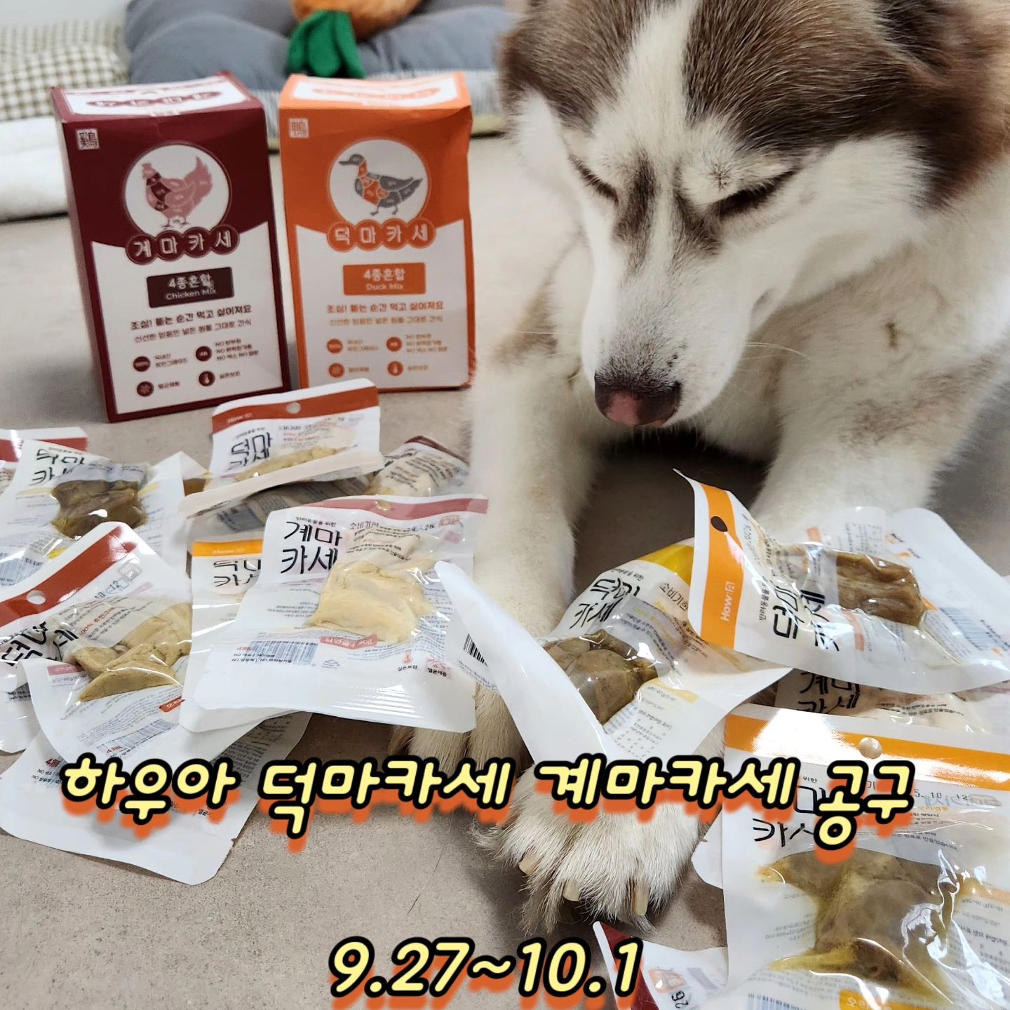 하우아 덕마카세 계마카세 원물 간식 공구 🐔

하우아 간식은 사람이 먹을 수 있는 국내산 원육으로 원물 한 가지만 사용한 휴먼그레이드 식품이에요 

한 가지 부위만 사용하여 알러지 걱정 부담을 줄여주고
콜라겐 가득한 육즙까지 풍성한 식감을 느낄 수 있어요 

보관은 냉장이나 냉동보관이 아닌 실온보관이 가능합니다

평소 사료 토핑으로도 추천 드려요

공구기간 : 9.27~10.1

공구상품 : 

계마카세 안심 세트 10P 6,170원
계마카세 목살 세트 10P 8120원
계마카세 닭발 세트 10P 6,820원
계마카세 연골 세트 10P 6,170원
계마카세 믹스 세트 8P (안심/목살/닭발/연골X2P) 6,500원

덕마카세 안심 세트 10P 10,400원
덕마카세 목뼈 세트 10P 6,170원
덕마카세 염통 세트 10P 6,820원
덕마카세 근위 세트 10P 6,820원
덕마카세 믹스 세트 8P (안심/목뼈/근위/염통 X 2P) 7,080원

🚚3만원 이상 무료배송 

출고기간 : 평일 오후 2시이전 당일출고 

주문은 프로필 하단 링크로 부탁드릴게요
