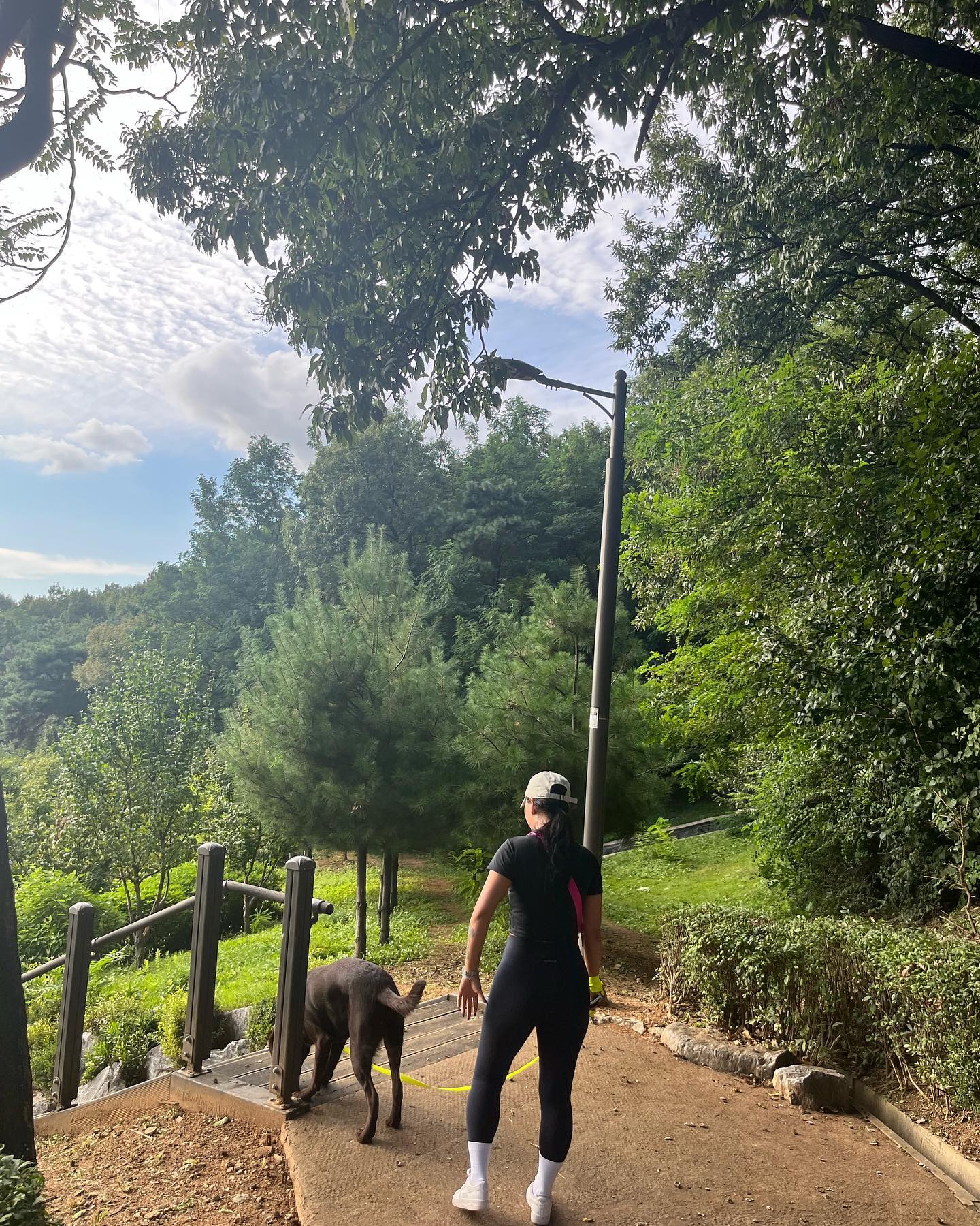 🐕이번주 토일 산책 파티원 구합니다 
혼자선 뒤질거같으니까 당장 지원하세요 ;
#리트리버 #일주일만 #대형견다이어트 #내가다이어트 #화곡동