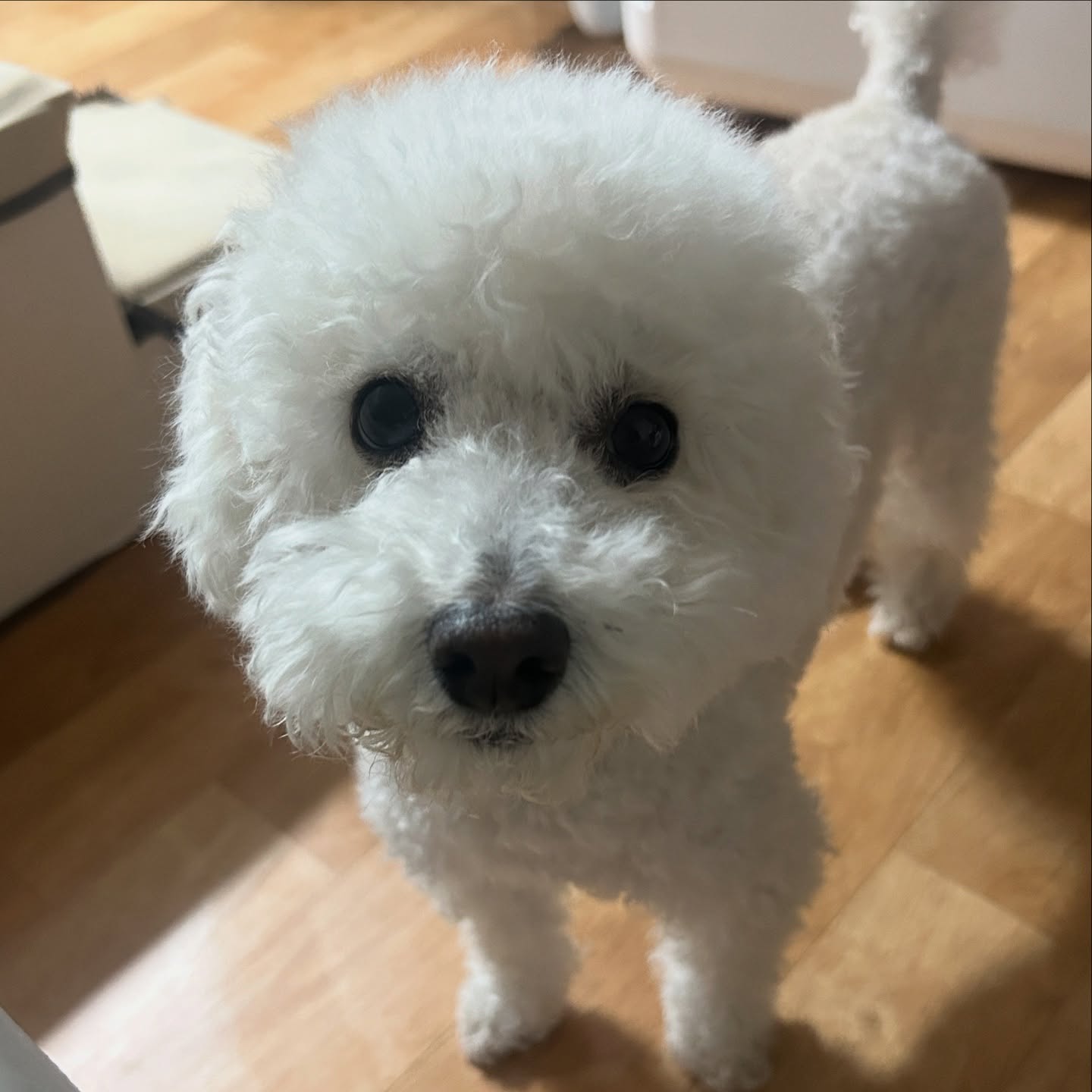 똥글똥글