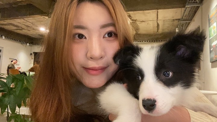 콘텐츠