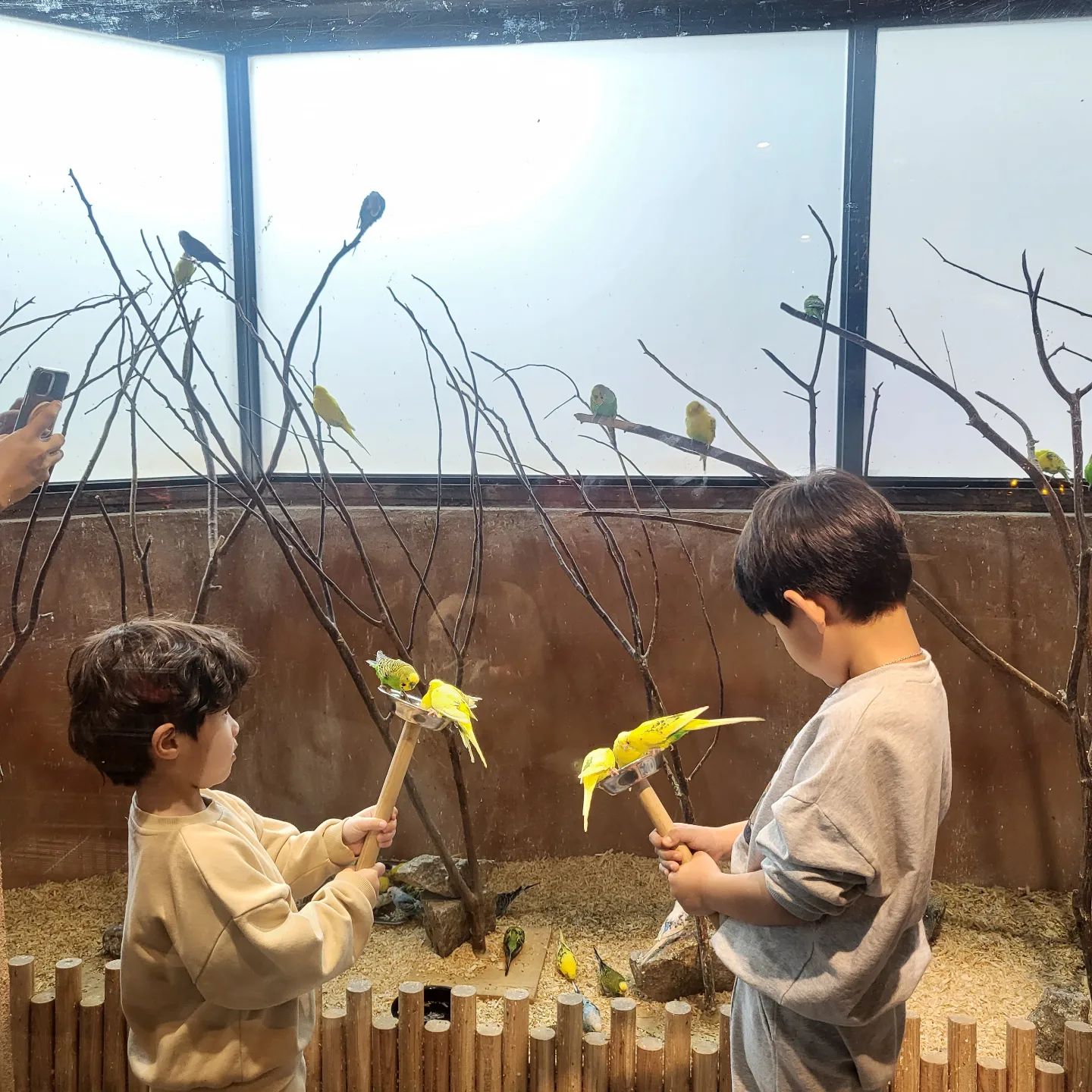 화보같잖아 아기들
