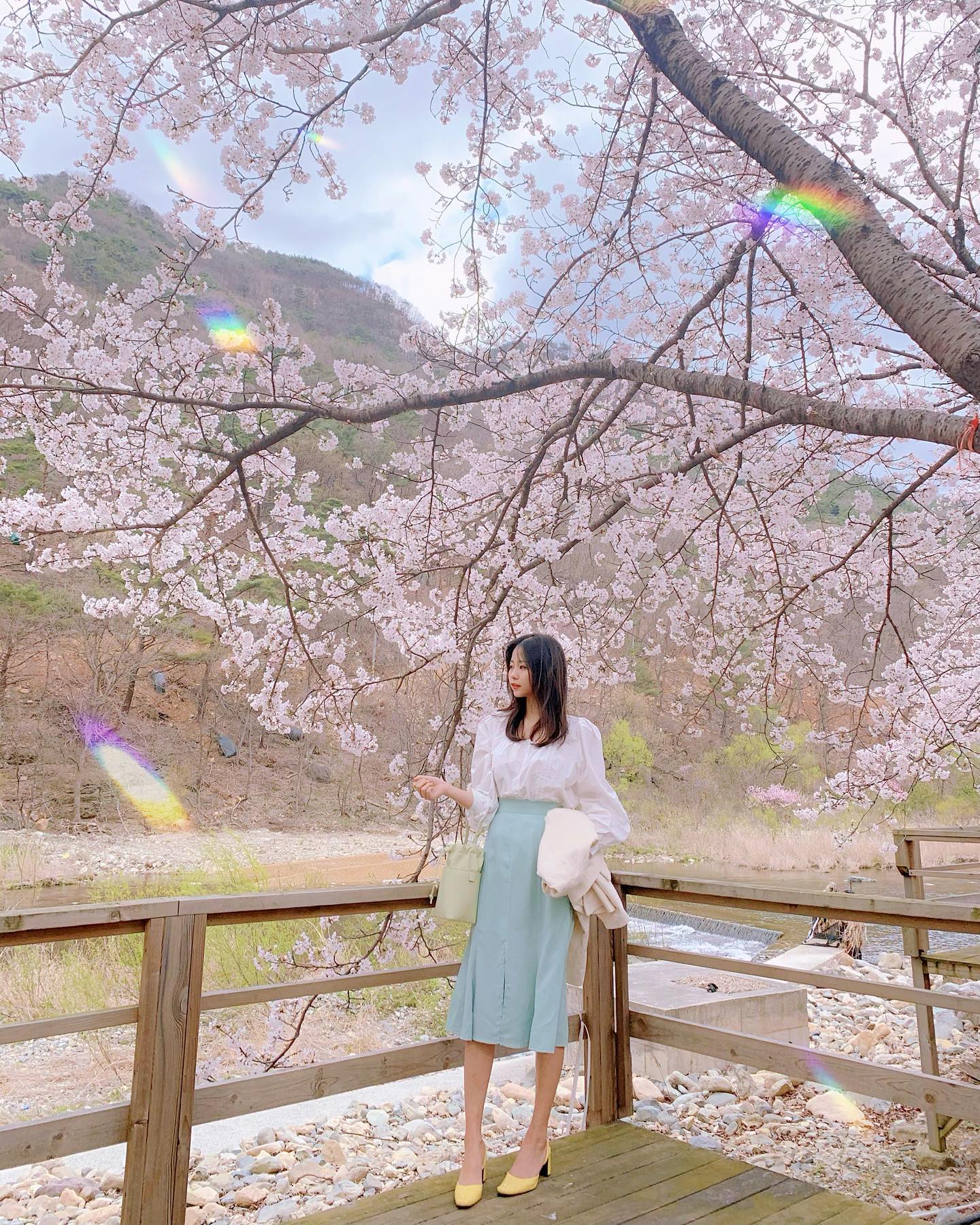 벚꽃보러가쟈 🌸🫶

#단장면로스터스 #밀양카페투어 #꽃나들이🌸 #벚꽃스타그램 #봄나들이🌸