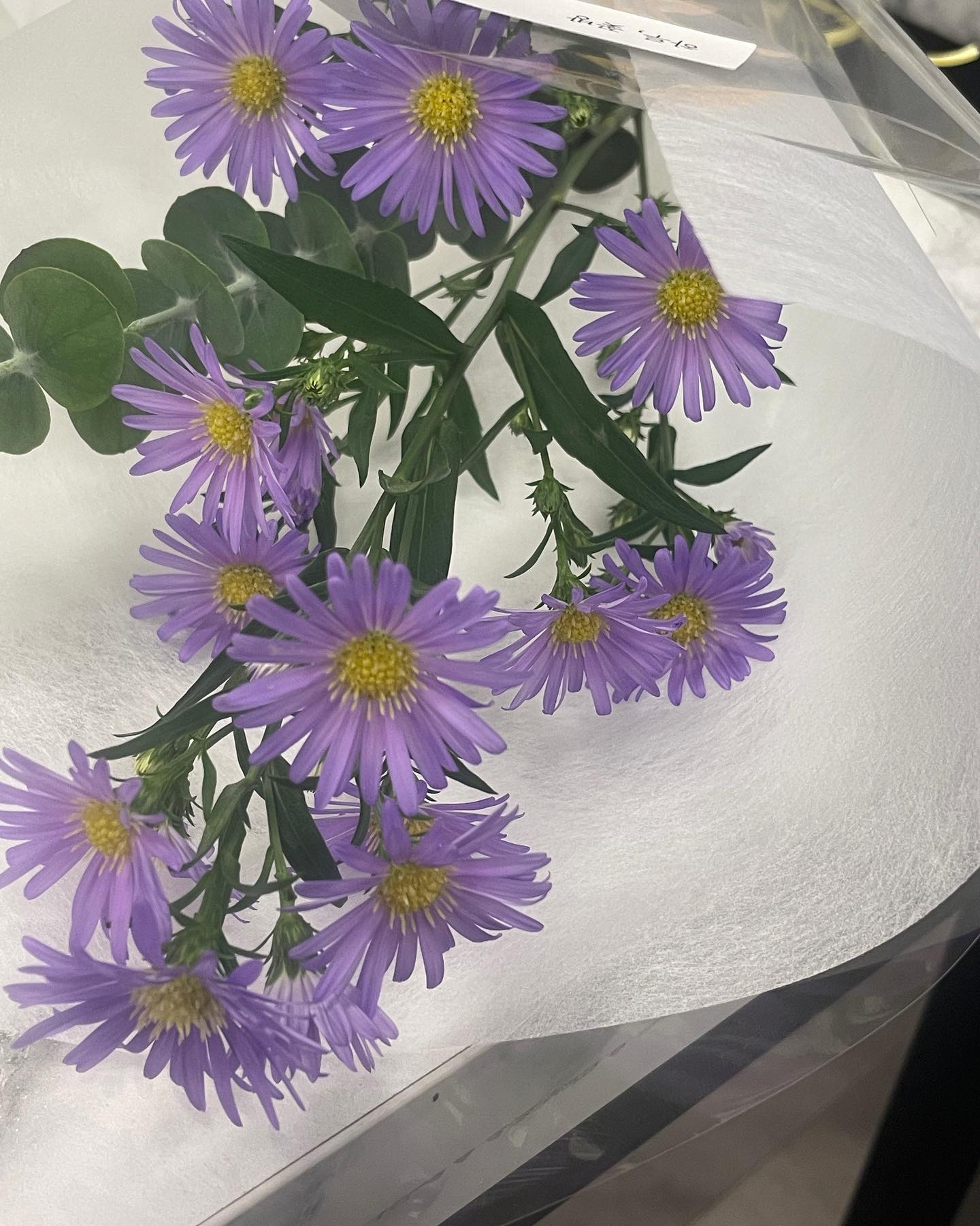 일년 중 열 번째 달 천고마비의 계절 🍂