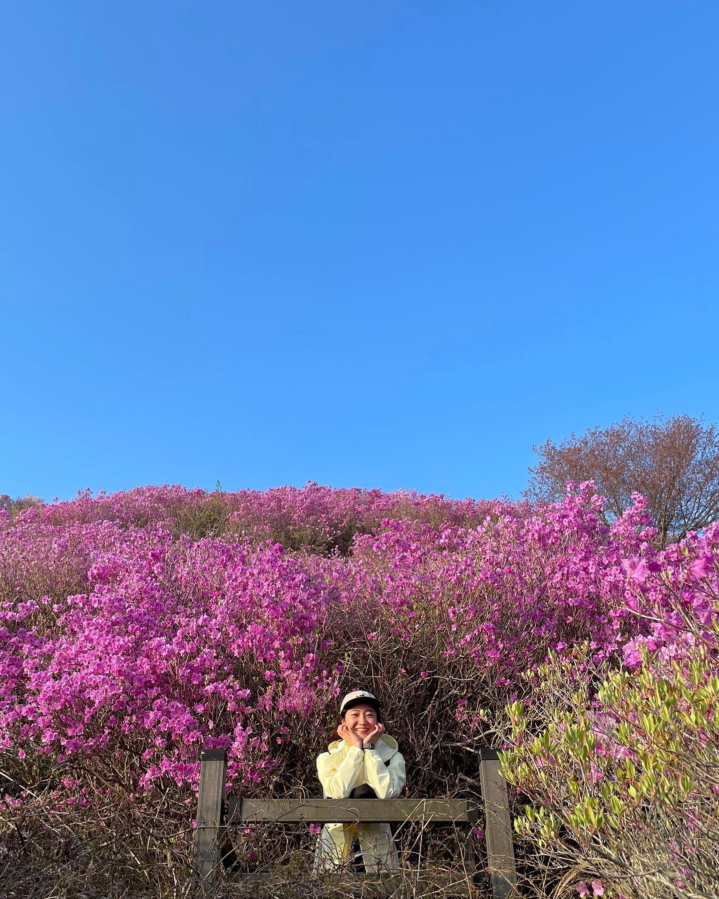 오랜만에 #등린이 #혼산 
기대가 너무 컸던 탓일까 생각보다 쏘쏘였던 #영취산진달래축제 실망한 얼굴치고 표정은 해맑네🤭
되돌아가려다 #도솔암 #봉우재 방면으로 내려왔는데 벚꽃군단을 만나버렸지뭐야

 
#보배_등산일기⛰ 
#여수 #영취산 #진달래 #봄꽃산행
#블랙야크알파인클럽