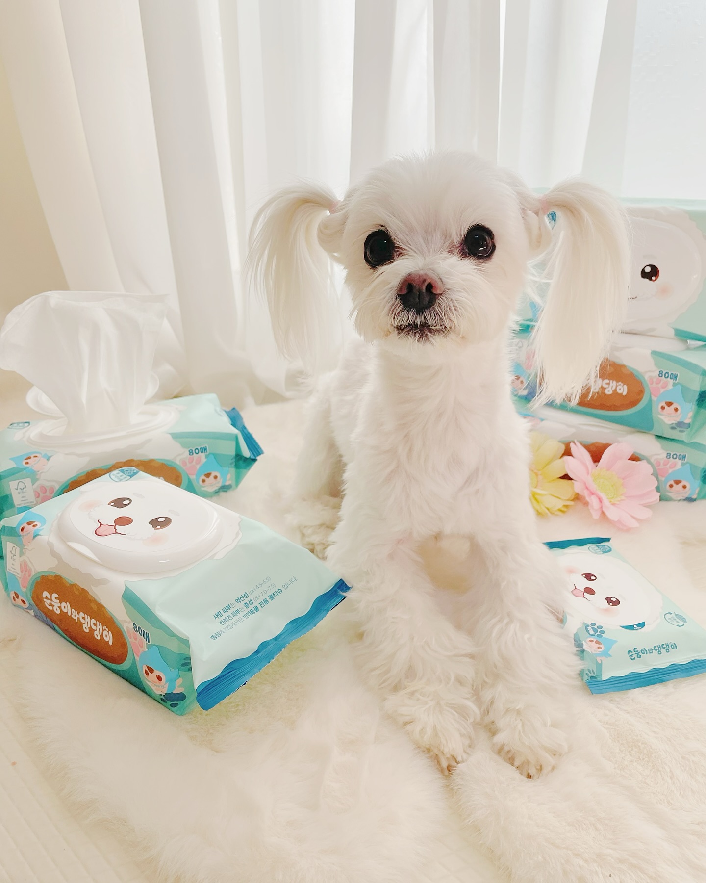 #제품제공 #협찬 #순둥이와댕댕이 
♡ ♡ ♡ ♡
soondoongi_pet 
순둥이와 댕댕이 강아지 물티슈 소개할께
 외출 후나 산책 후에 강아지의 발이나 
얼굴을 깨끗하게 닦아줄 수 있는 제품이얌 ♡

강아지의 피부는 사람과 다르게 민감하기 때문에, 자극이 적고 안전한 제품을 선택하는 것이 중요해요. 
 순둥이와 댕댕이 강아지 물티슈 는 중성에 가까운 pH로 만들어서 자극 없이 
강아지의 피부 산도에 맞춘 전용 펫티슈인데
 
동물용 의약외품으로 허가를 받았고
독일 더마테스트까지 완료한 제품이라 
더욱 믿을 수있는 데다
환경을 생각한 생분해성 소재로 만들어져서, 
자연에서 분해되기 때문에 환경 보호 할수있어
산책 후에 두부발을 닦아줄 때, 부드럽고 촉촉한 느낌이 좋았어요. 
그리고 물티슈의 향도 은은해서 사용하기 좋았답니다.
자극 없이 안전하게 사용할 수 있고, 환경도 생각한 제품이라서 더욱 마음에 들어요.
 강아지와 함께하는 일상에서 꼭 필요한 아이템으로 추천드려요

#순둥이 #순둥이와댕댕이 #강아지물티슈 #산책물티슈 #동물용의약외품 #중성물티슈 #생분해물티슈