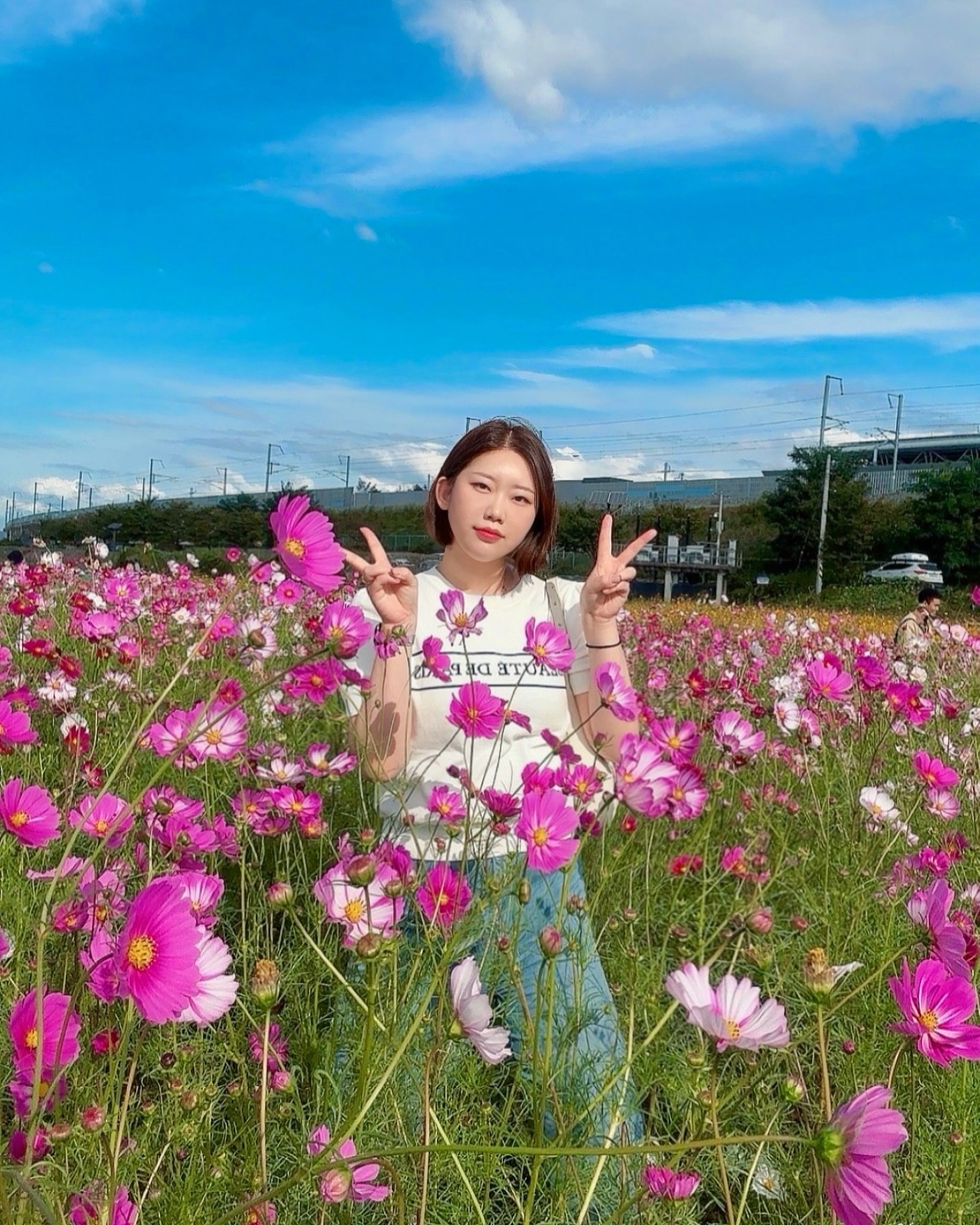 최애💗🌸

#코스모스 #대부잠수교 #경산코스모스 #하나둘셋_경산