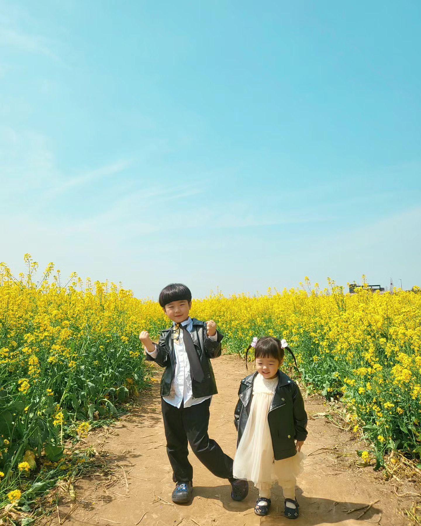 🌼유채꽃도 성공🌼
