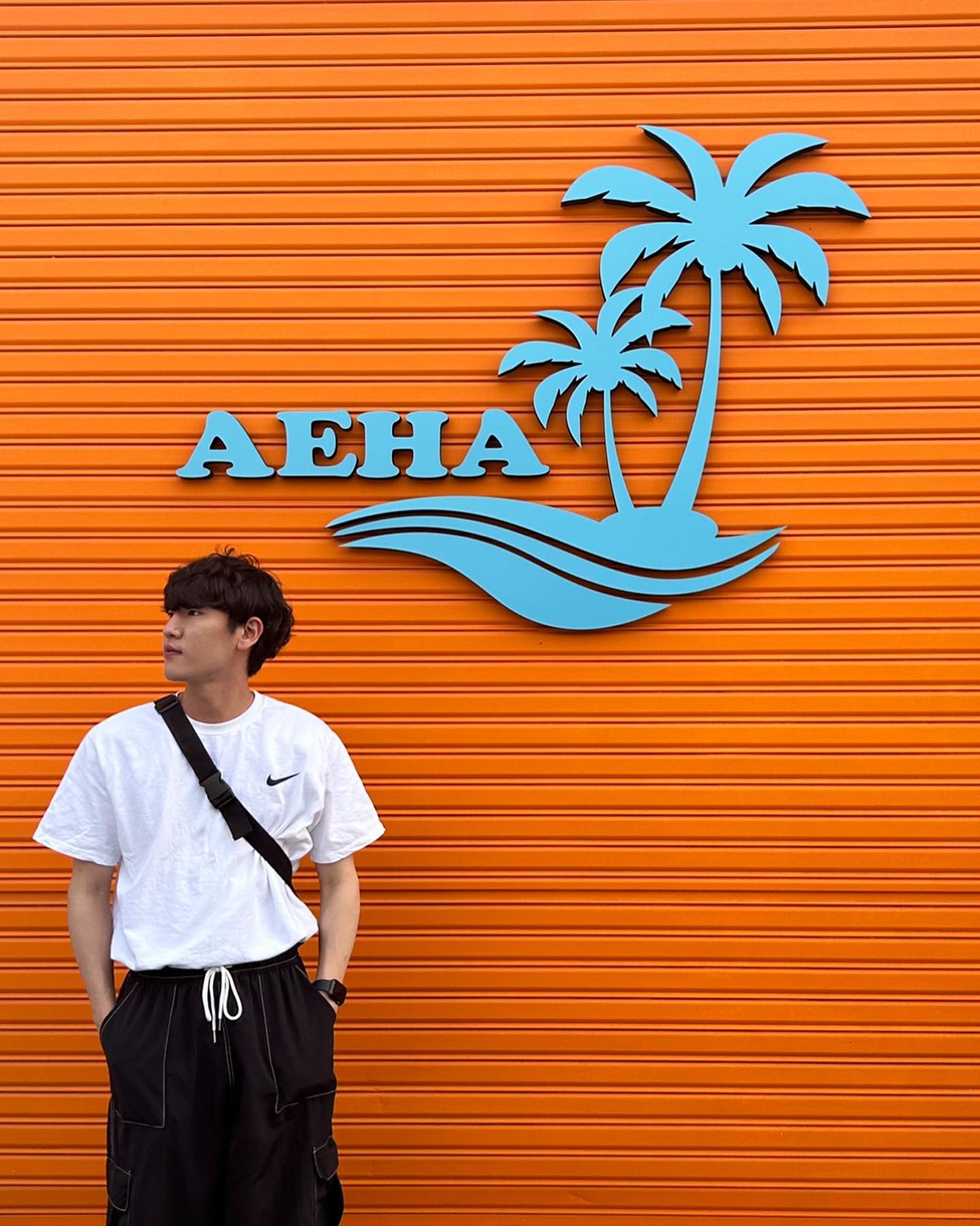 AEHA🏝