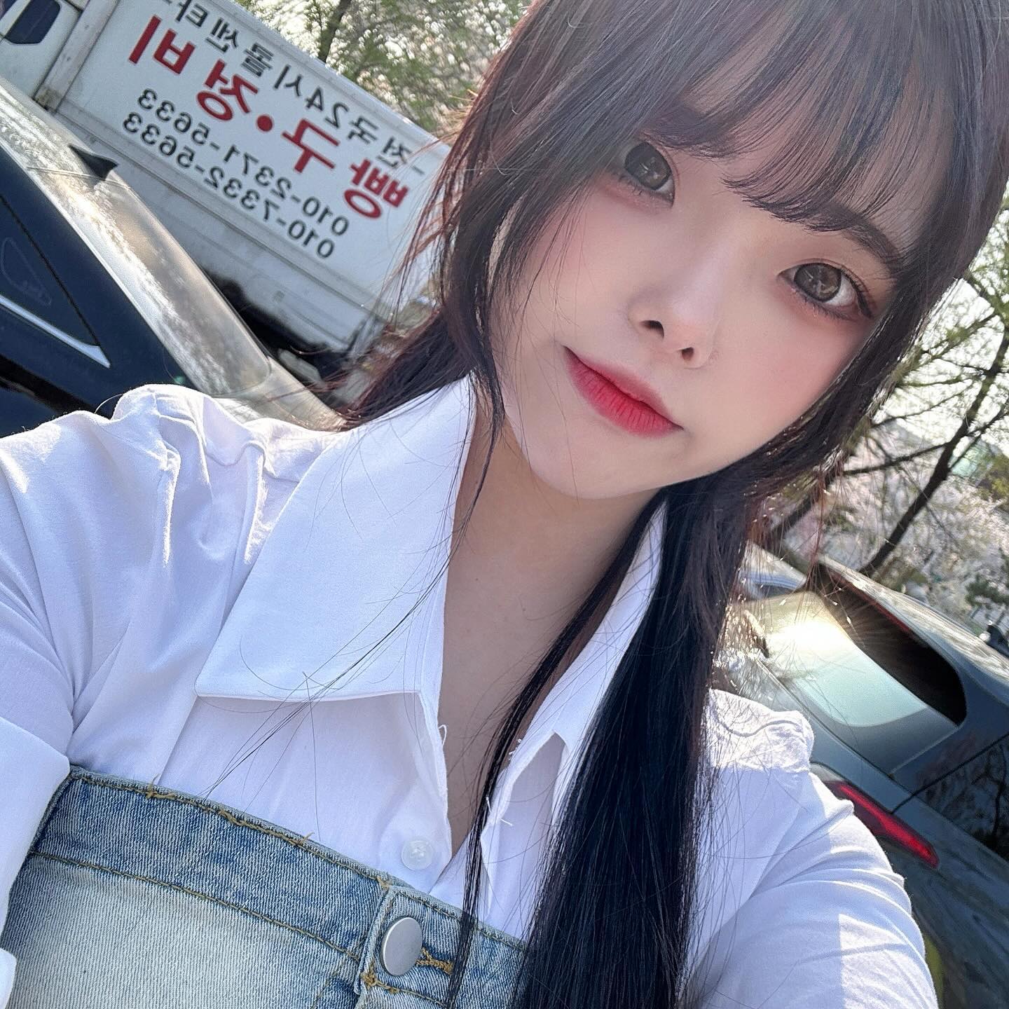 올해 벚꽃 퀘스트 완🫶🏻