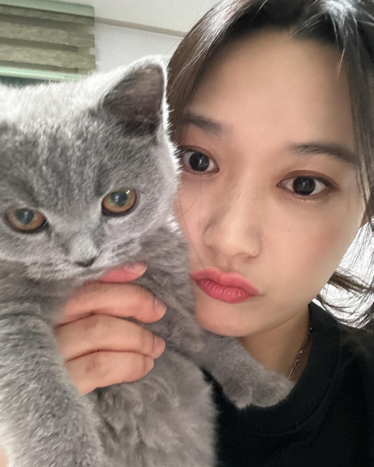 진짜 말 안듣게 생겼네
아 나 말고 김또리 .. ^^
#캣초딩 시기라 그런지 손,발 물어뜯고
자는데 밟고 발 물어서 깨우고 .... 커여워 !