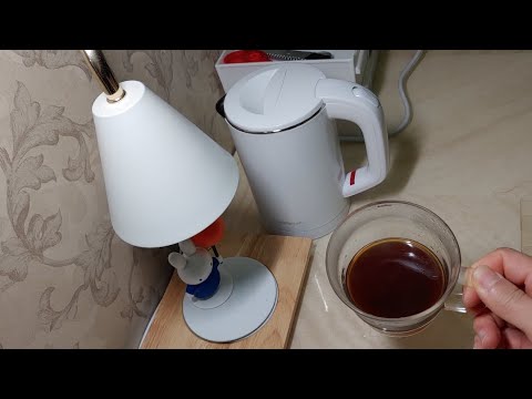 미니 전기포드의 최강자 ☕나야 나 👍멜피움 전기포트 0.6L 가성비템 1인가구 휴대용 호텔용 자취필수품