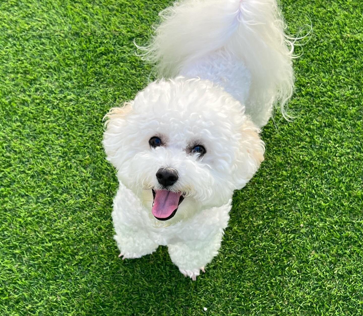 💗 추석엔 대가족 다함께 💗