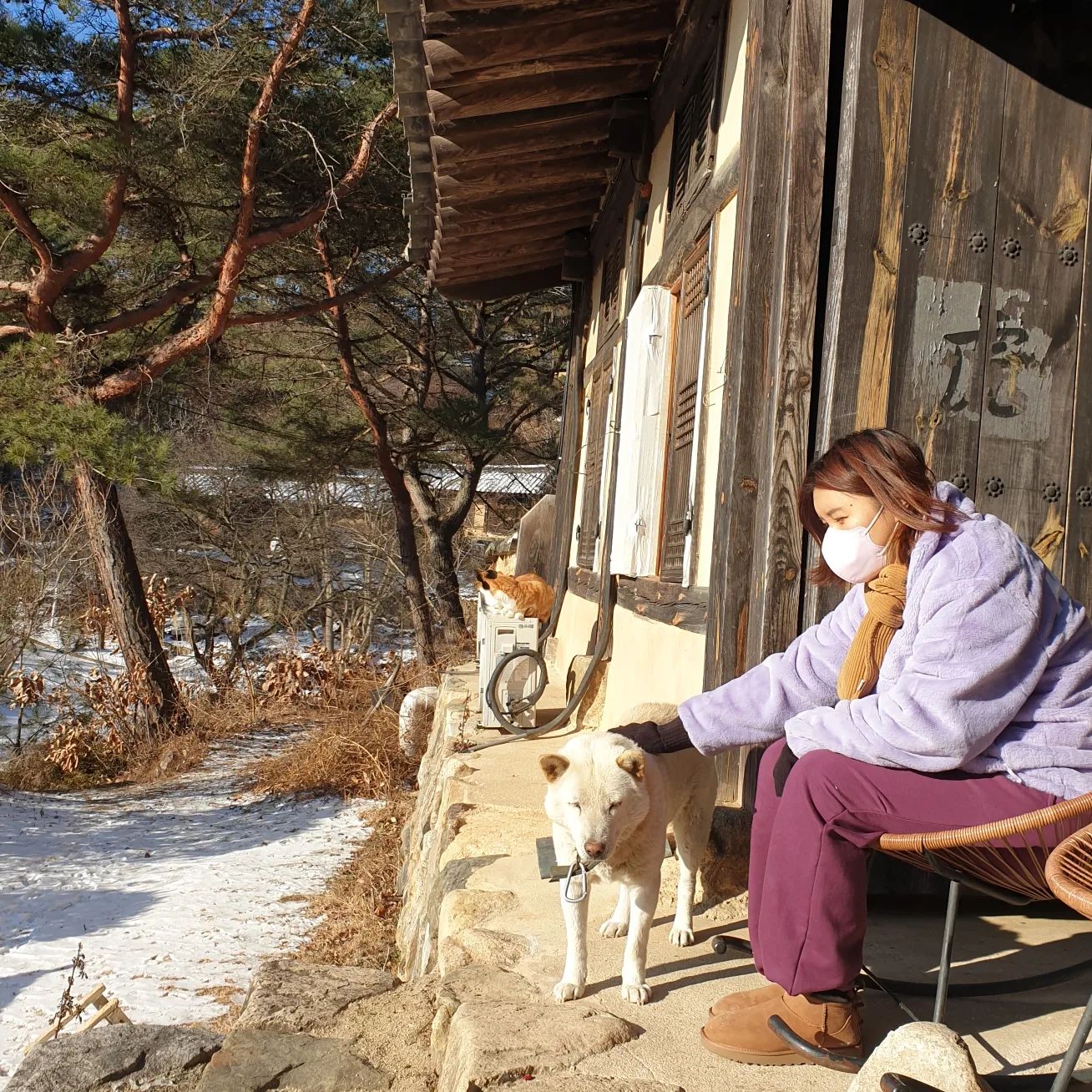 올해도 무탈한 한 해!
내년에는 더더 행복하기

#힐링타임 #사진정리는언제하지 #지례예술촌 #버킷리스트 #주영자마늘닭