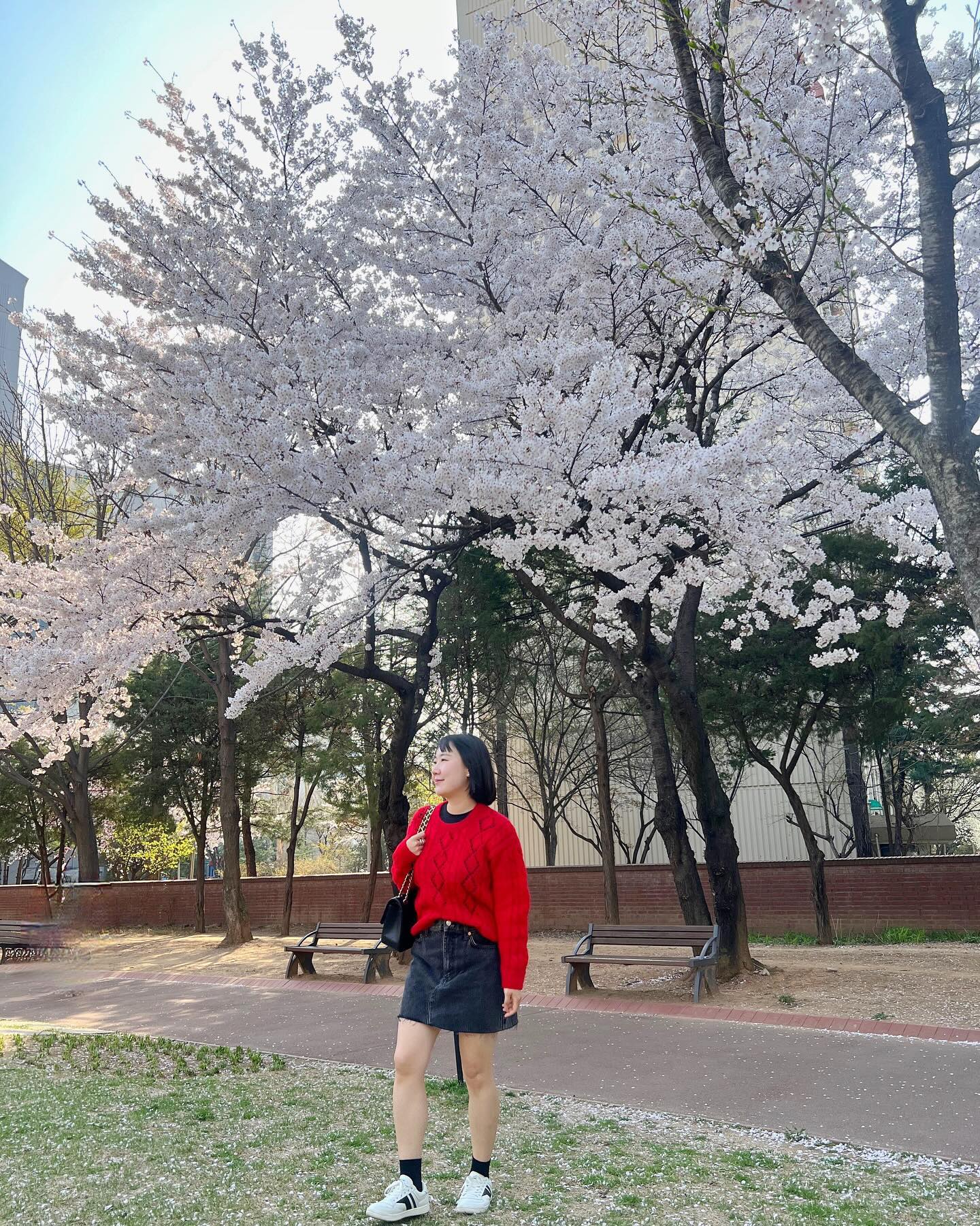 #윤중로 #벚꽃
-
의도치 않았지만 벚꽃으로 가득했던
매우 행복한 주말이였따
벚꽃은 어쩜 이리 바라만 봐도 행복할까
참으로 귀한 존재다 너는🌸
내년에 또 만나

-
-
#벚꽃축제 #벚꽃놀이 #벚꽃명소 #여의도한강공원 #문래창작촌