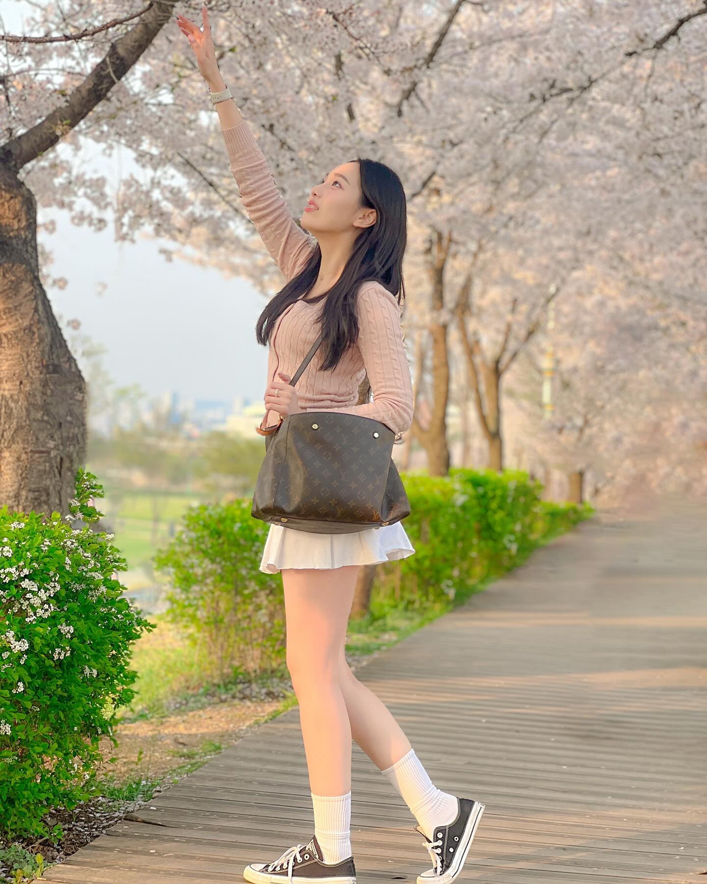 대학잡지st의 벚꽃 명소를 아십니까 🌸
#fyp