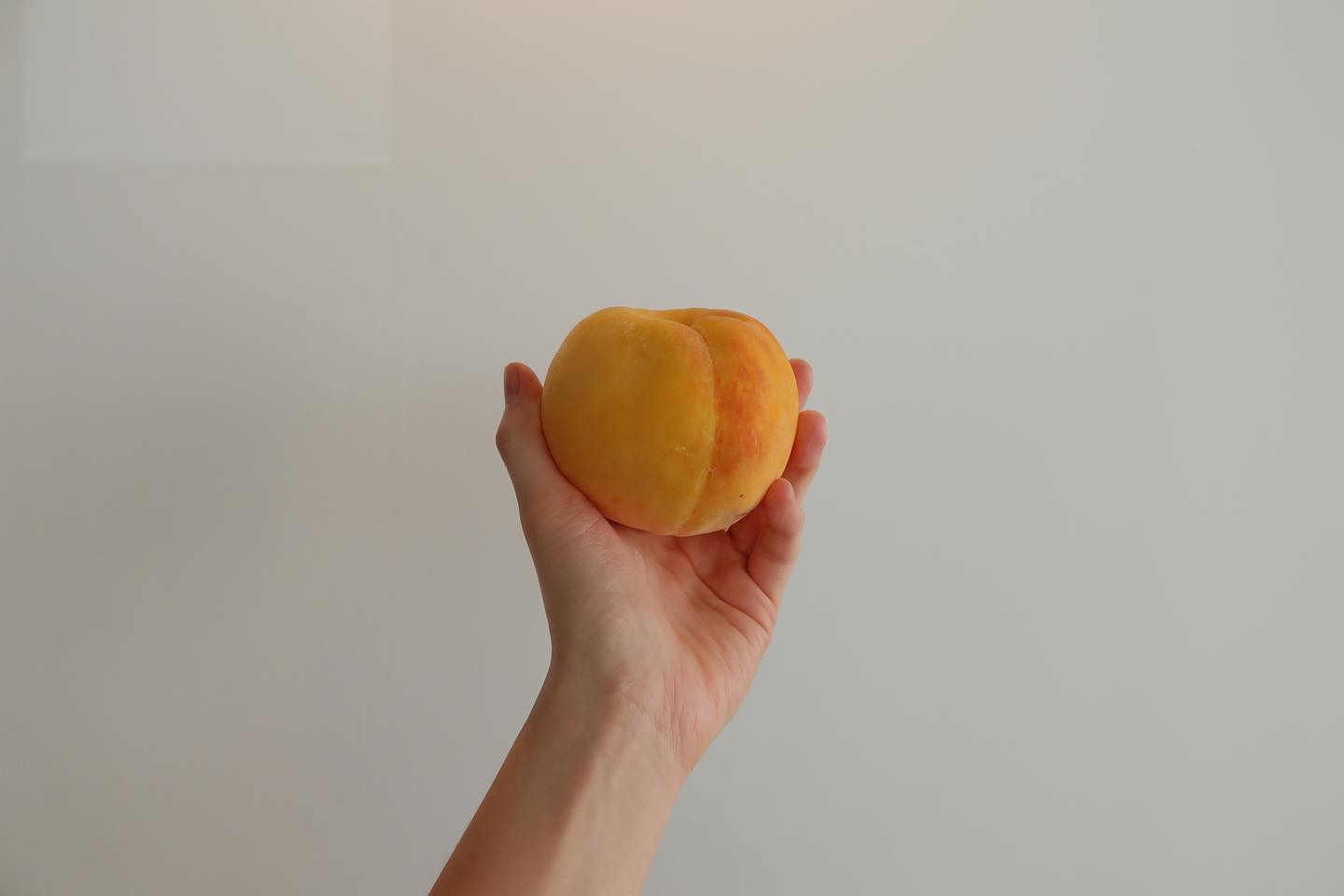 이번 애쓴식탁의 아홉 번째 이야기는 [가을 황도편] 입니다.
[가을 황도편]의 이야기에 제멋대로  펼쳐지는 저의 재료 기획에 대해 보여드리고 싶었어요.

차곡차곡 쌓아가는 애쓴식탁 이야기와 요리노트는 블로그에 있습니다.
프로필의 URL에서 확인하세요!

aessntable

#애쓴식탁 #가을황도편 #일기 #요리 #황도 #복숭아 #복숭아주스 #황도주스 #가을 #가을요리