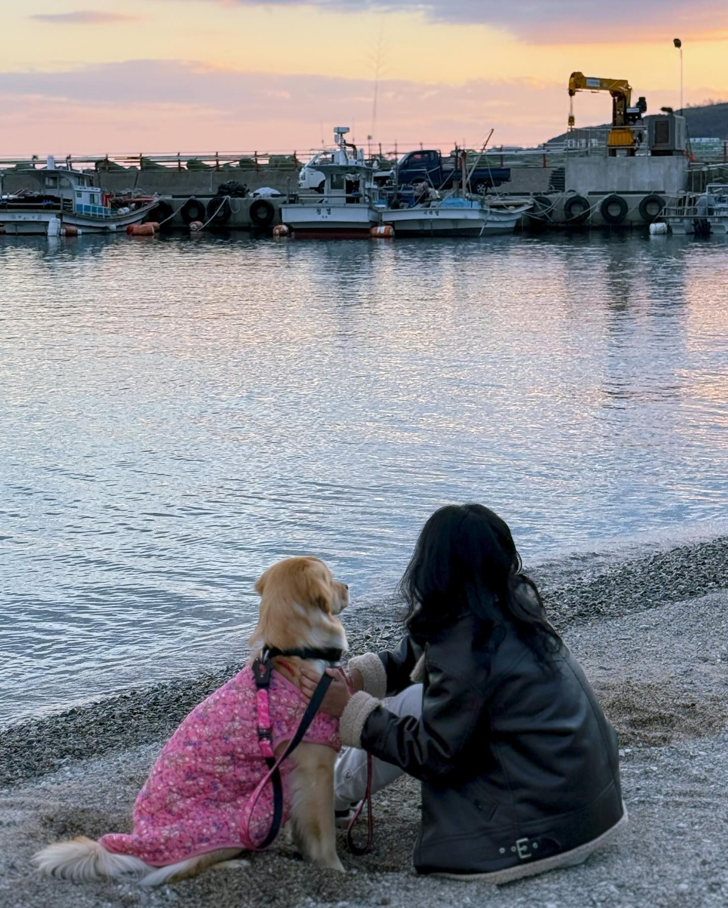 .

👩🏻: 젭알 사진 한 장만 찌거줄래.,,? 까까 주께 까까
🐶: 까까..? 오키 ㅋ