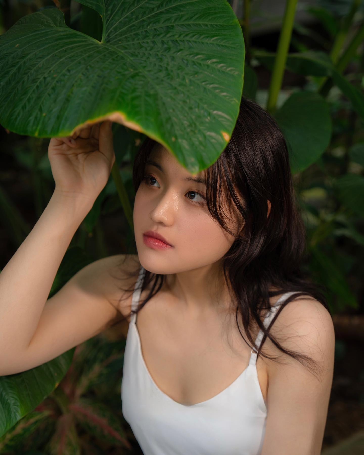 🌳🌱🌳🌱🌳🌱🌳🌱

P heedam_p