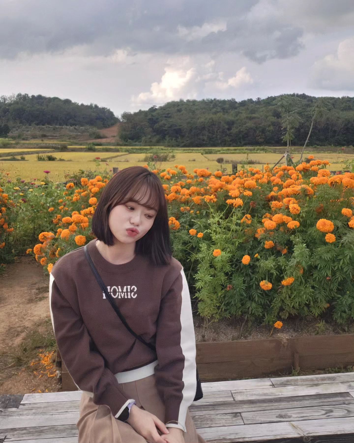 🌸🌼🏵🌺⚘️🪻