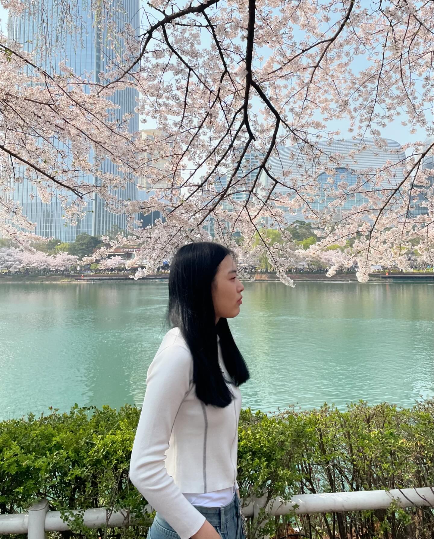 🌸💗